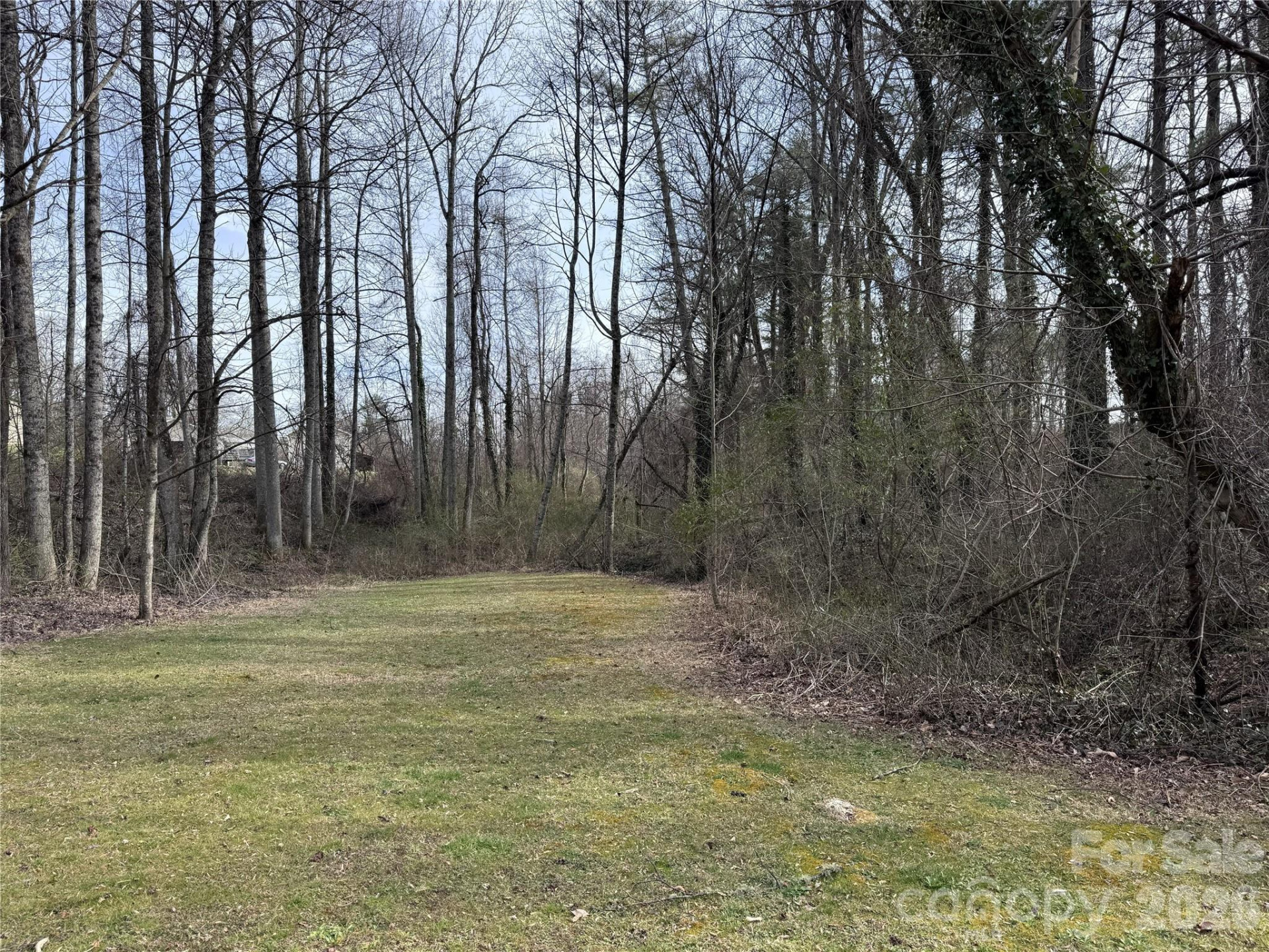 000 Jackson Loop Road #3 - Photo 2