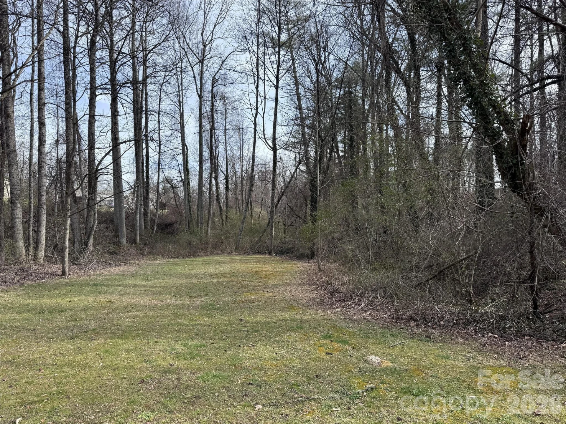 000 Jackson Loop Road #3 - Photo 2