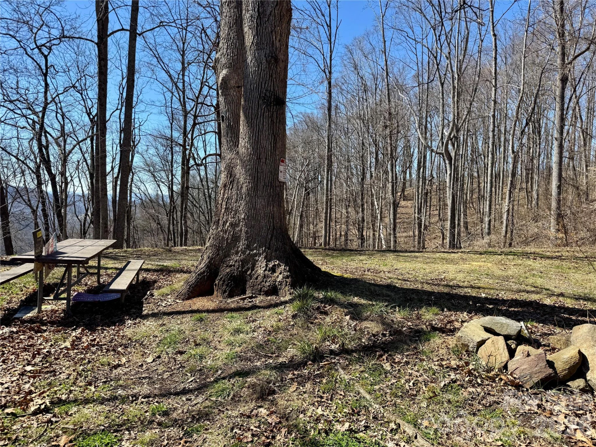 99999 North Fork Road