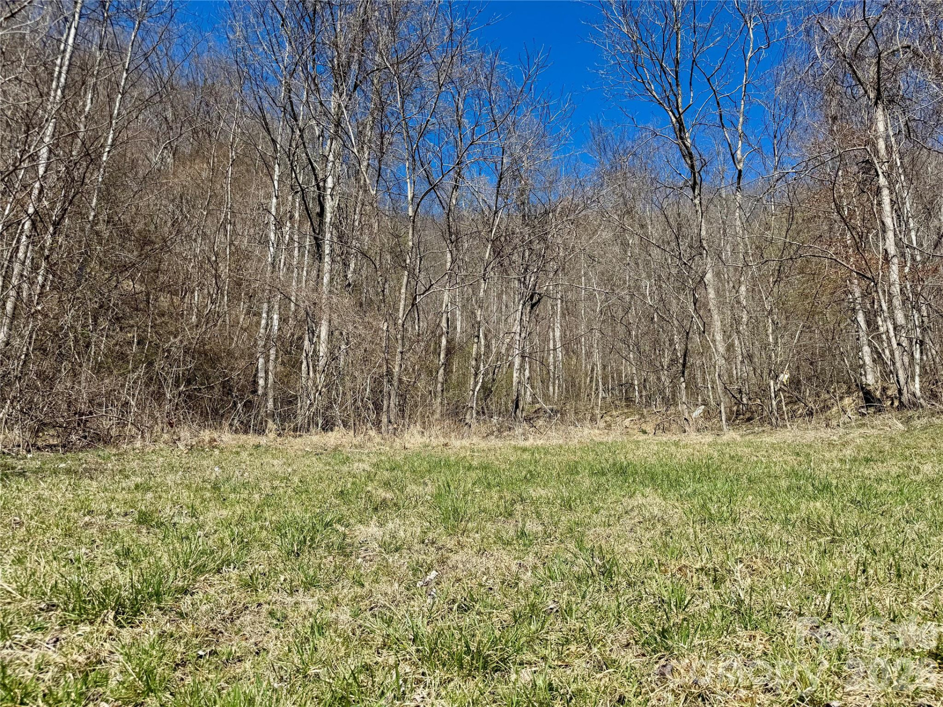 99999 North Fork Road - Photo 2