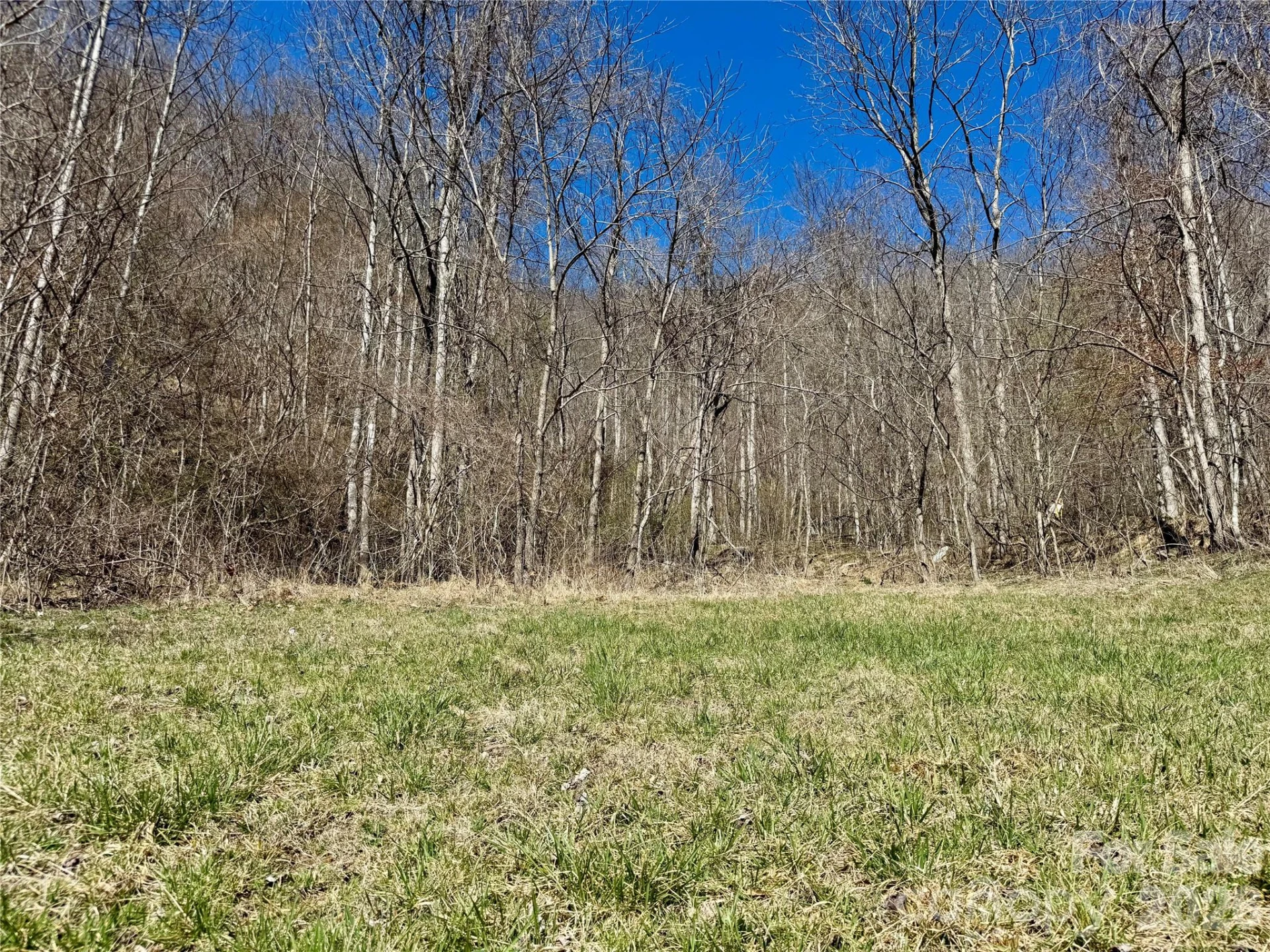 99999 North Fork Road - Photo 2