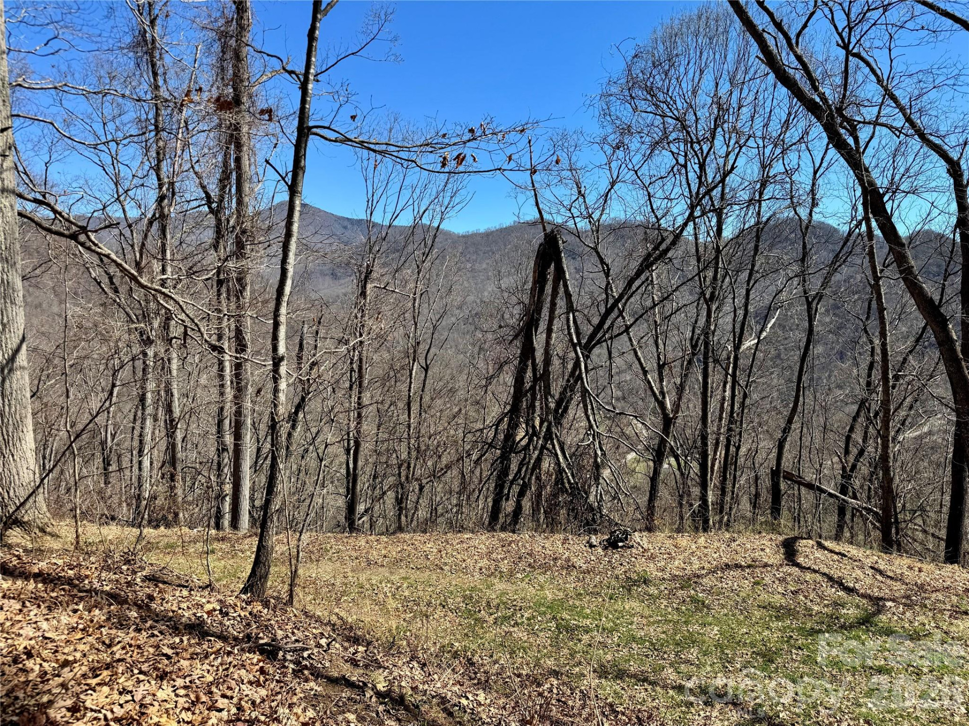 99999 North Fork Road - Photo 12