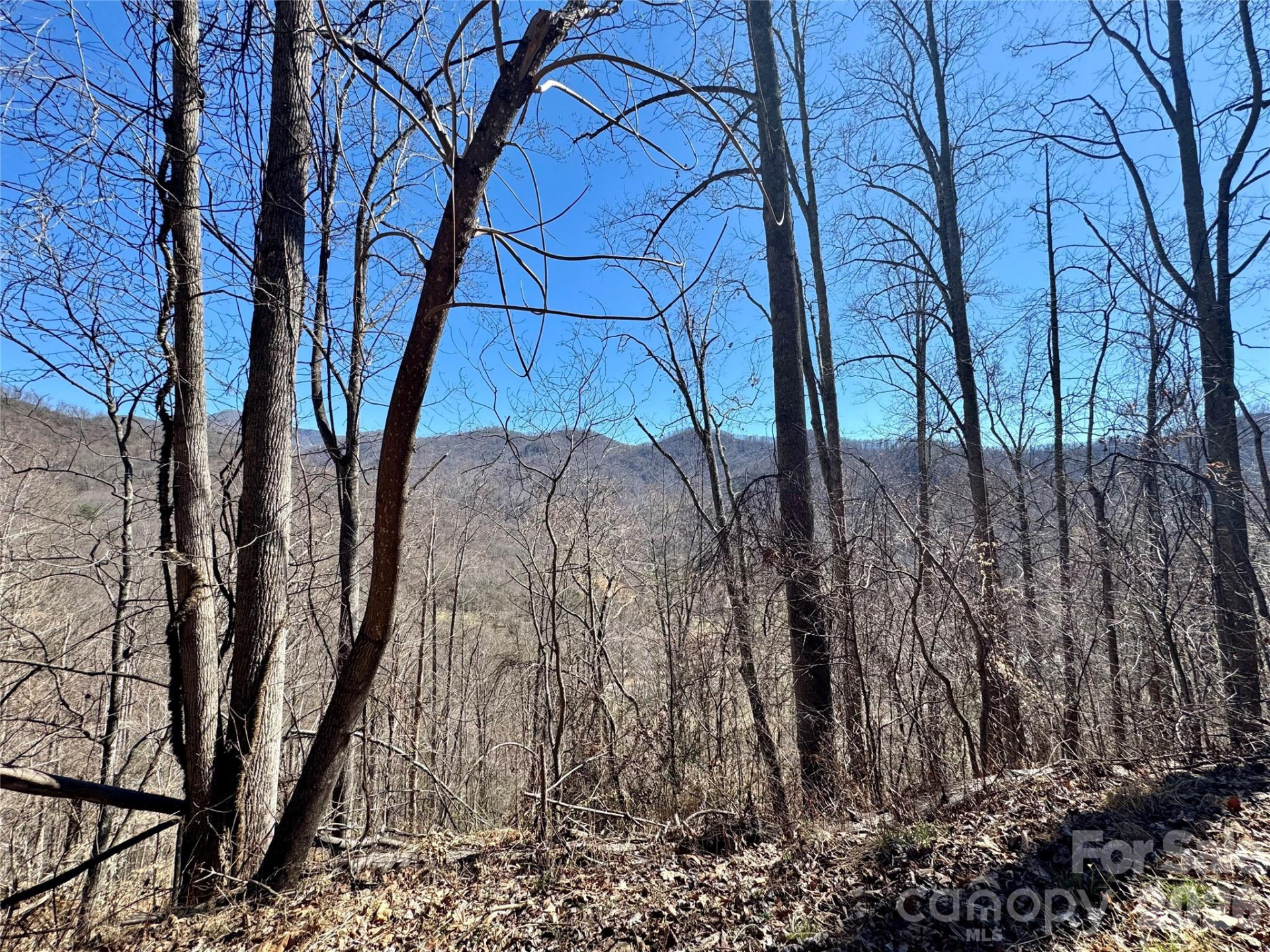 99999 North Fork Road - Photo 4