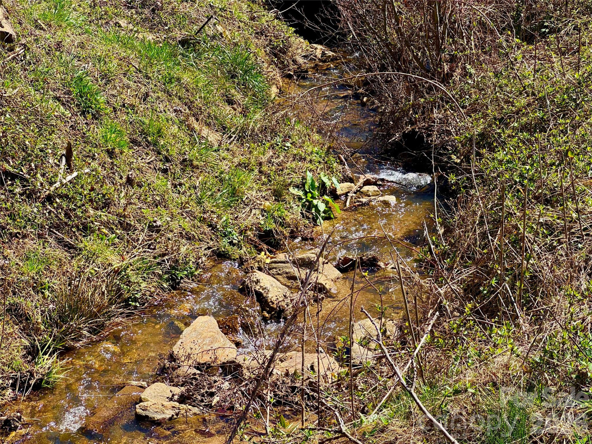 99999 North Fork Road - Photo 6
