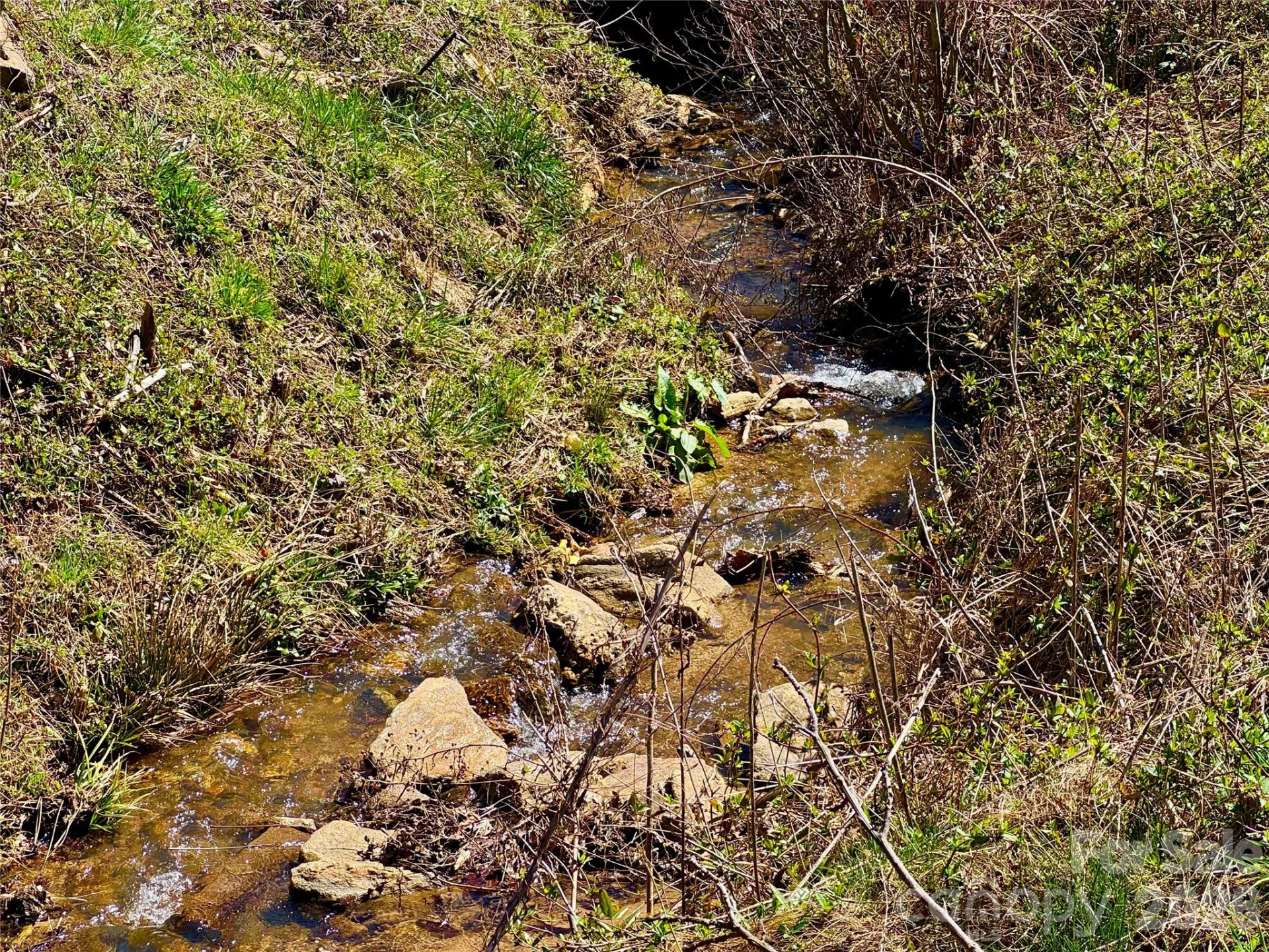99999 North Fork Road - Photo 6