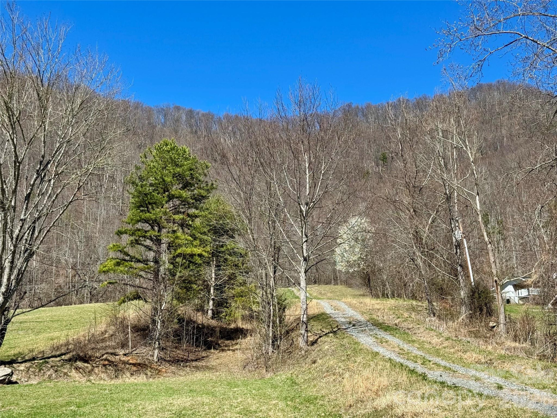 99999 North Fork Road - Photo 7