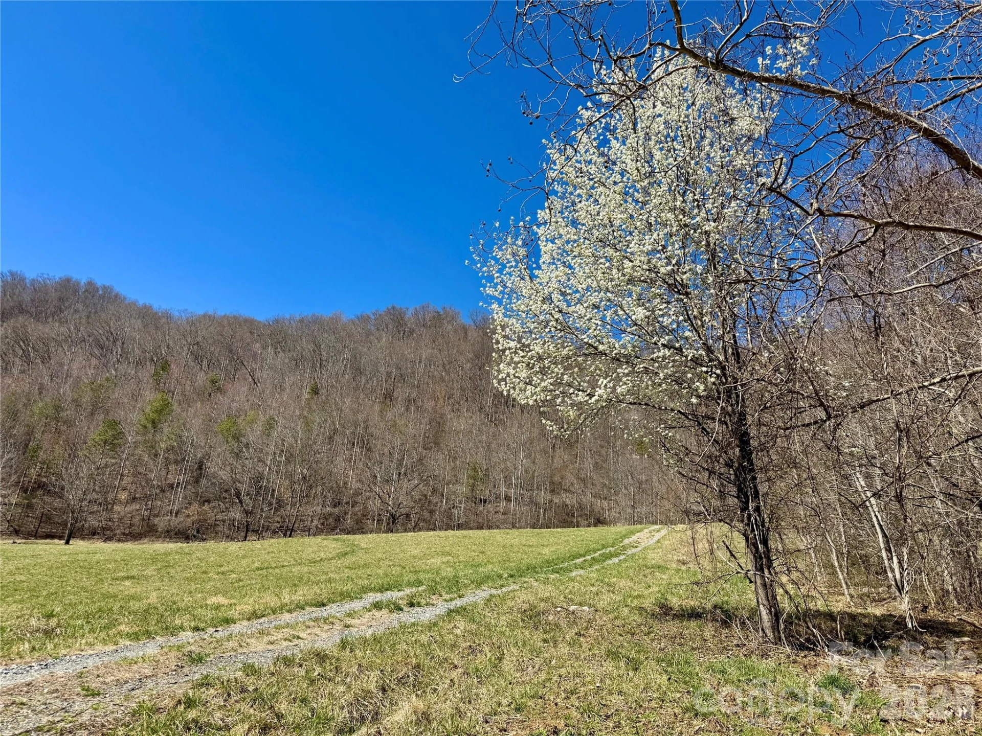 99999 North Fork Road - Photo 9