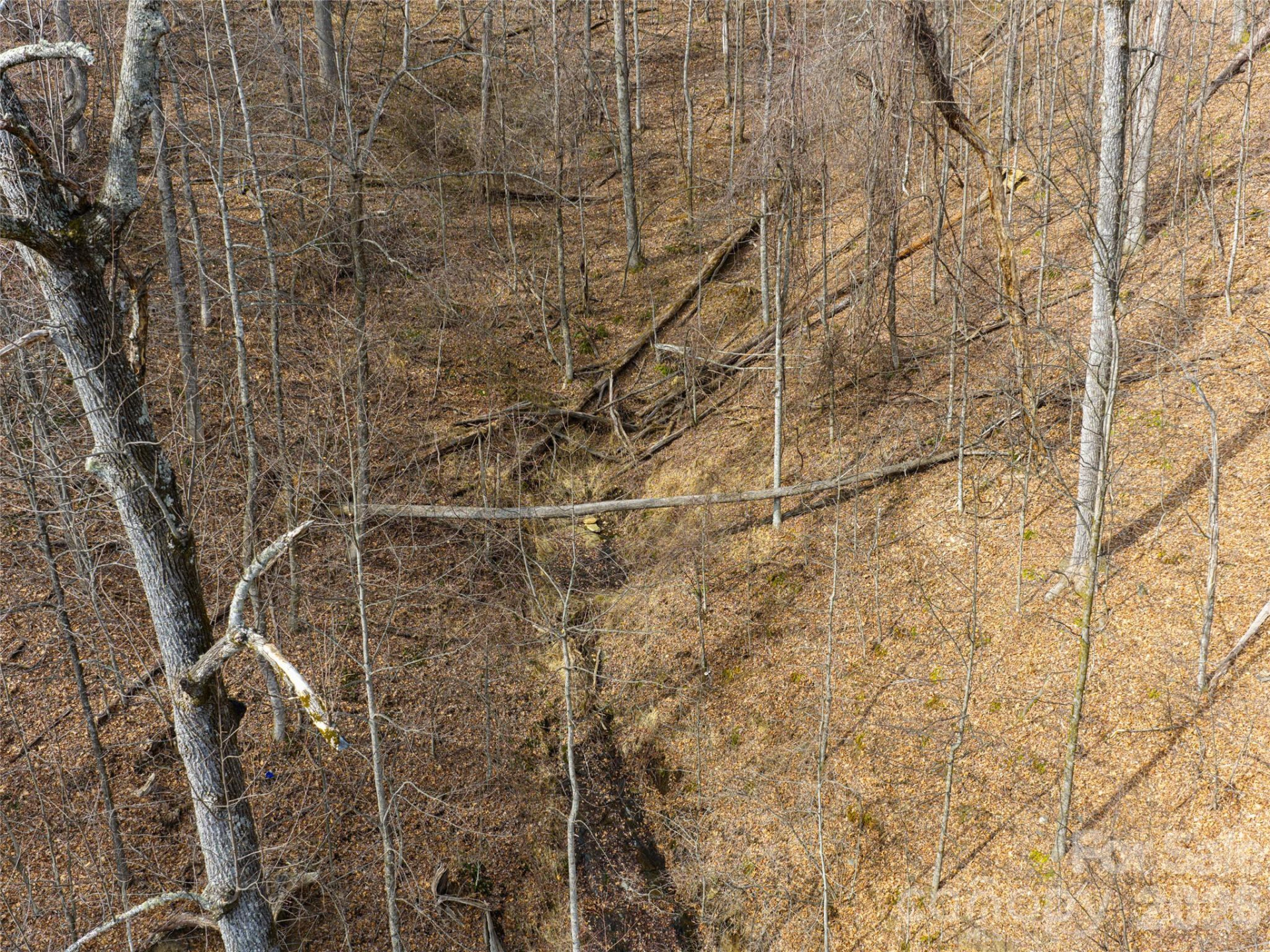 99999 NC 9 Highway - Photo 15