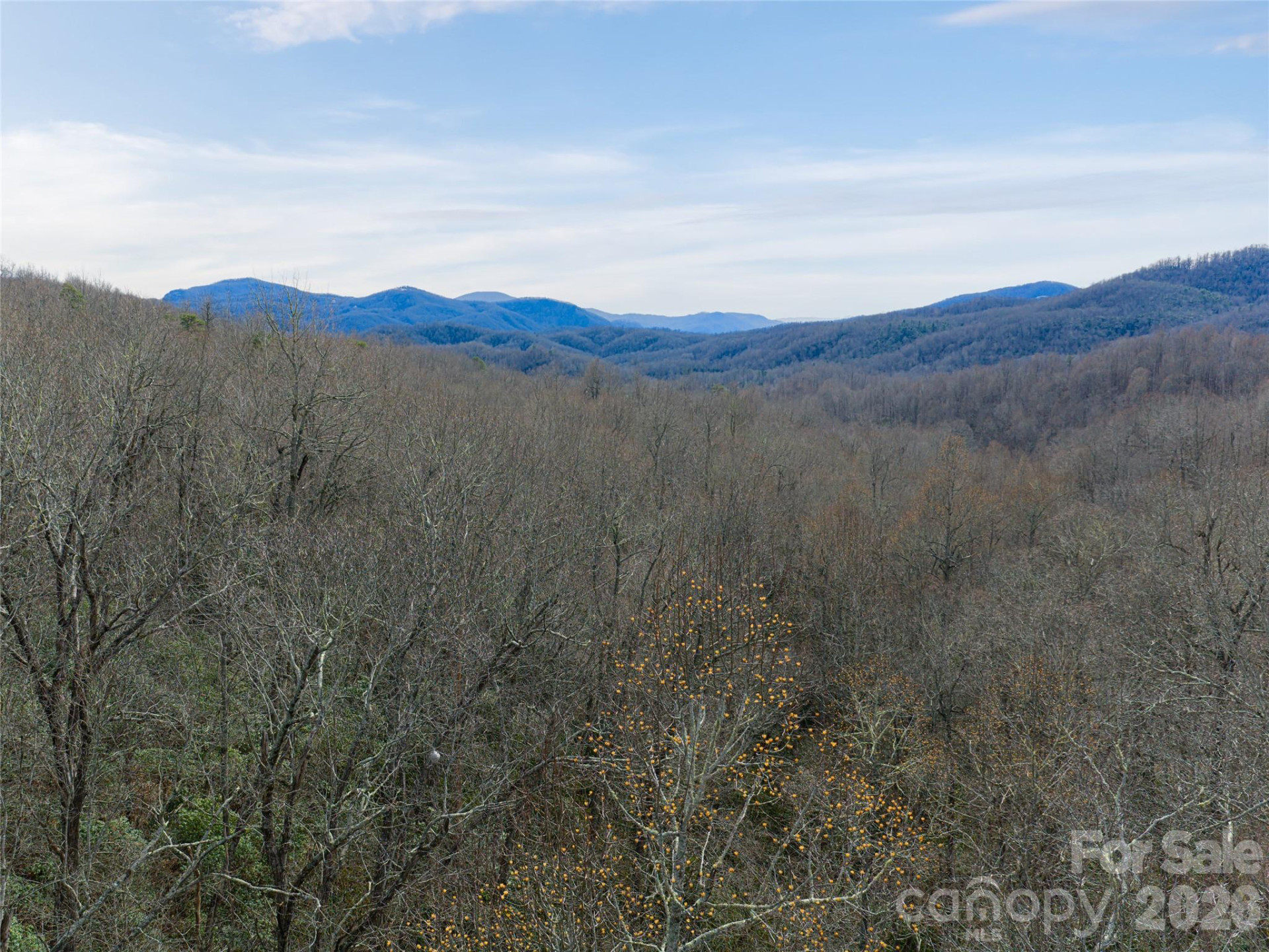 99999 NC 9 Highway - Photo 17