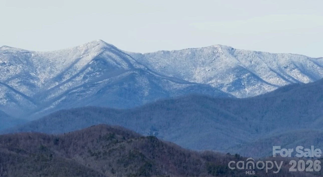 99999 NC 9 Highway - Photo 13