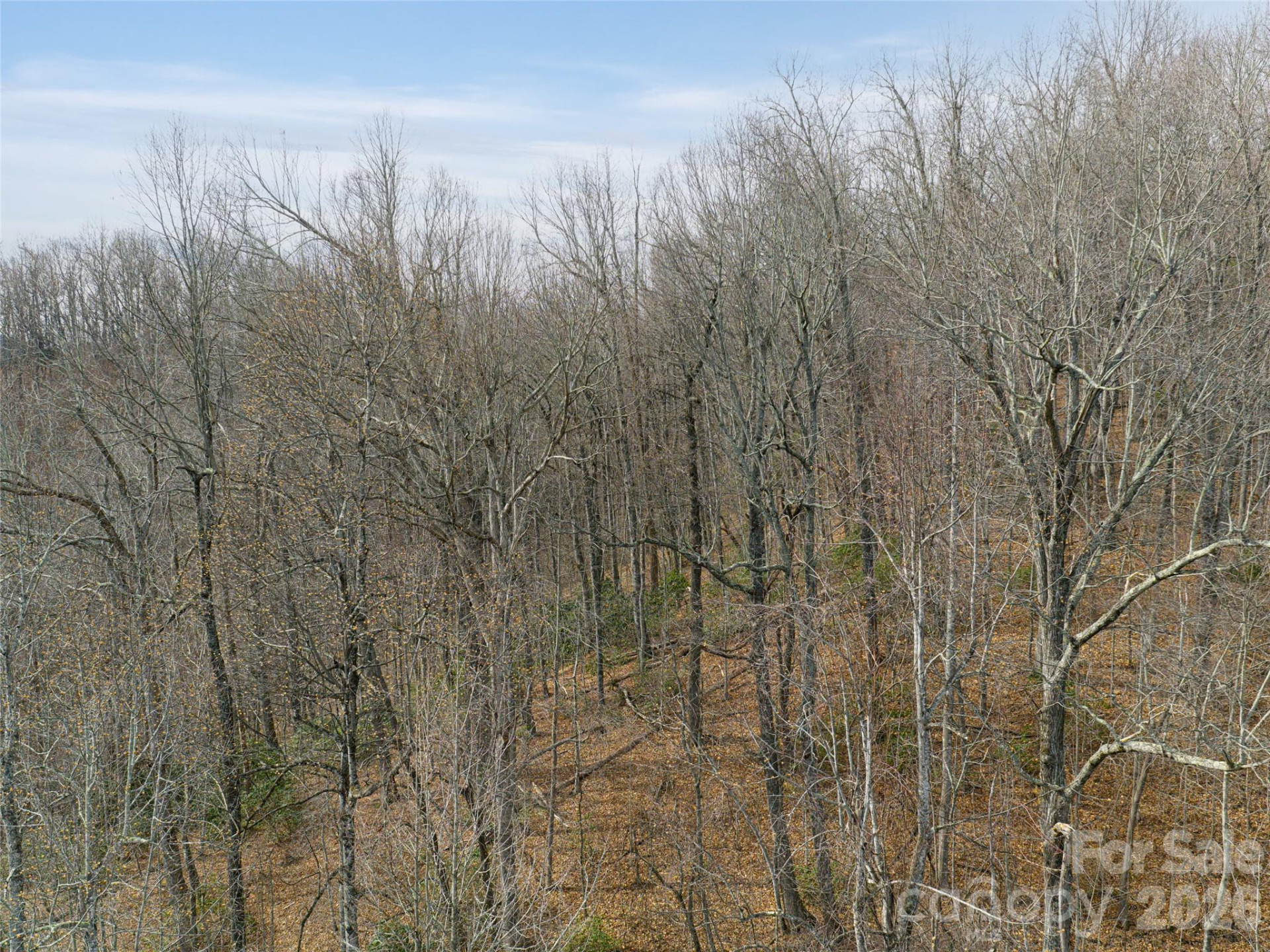 99999 NC 9 Highway - Photo 19