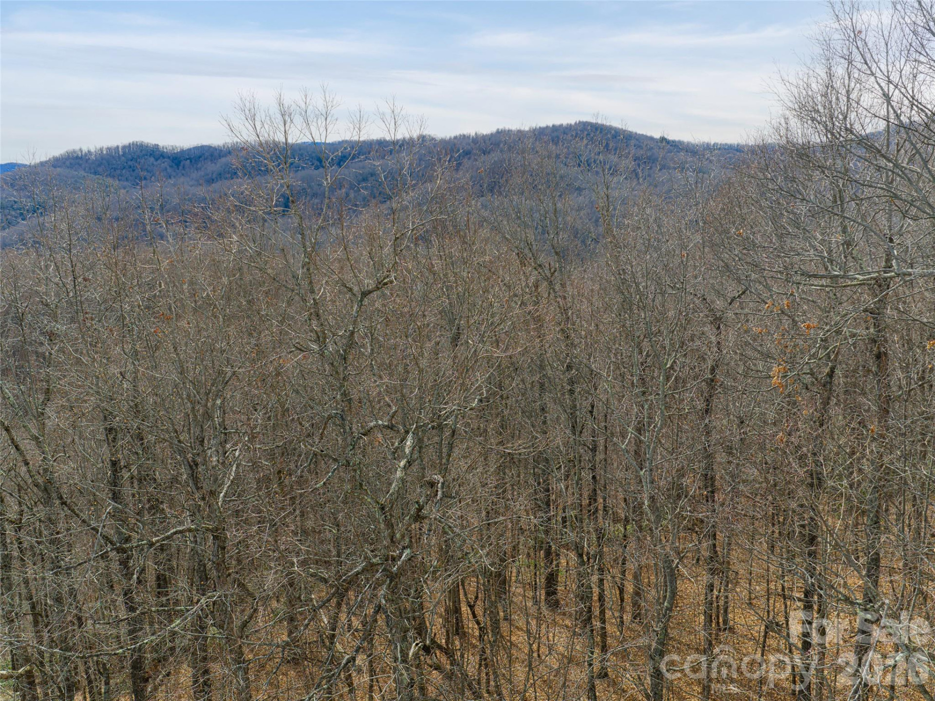 99999 NC 9 Highway - Photo 10