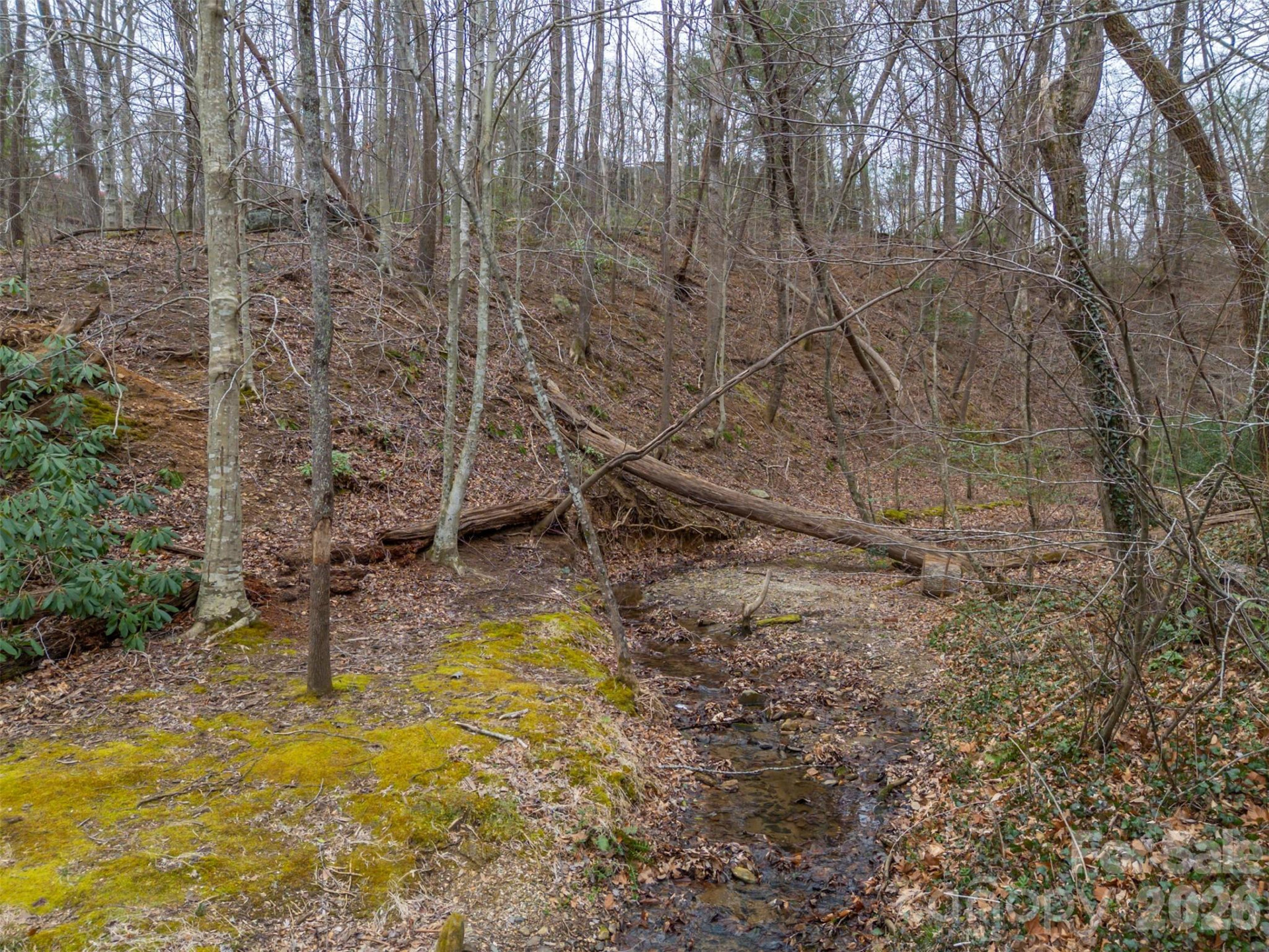 15 Meadowlark Drive - Photo 45