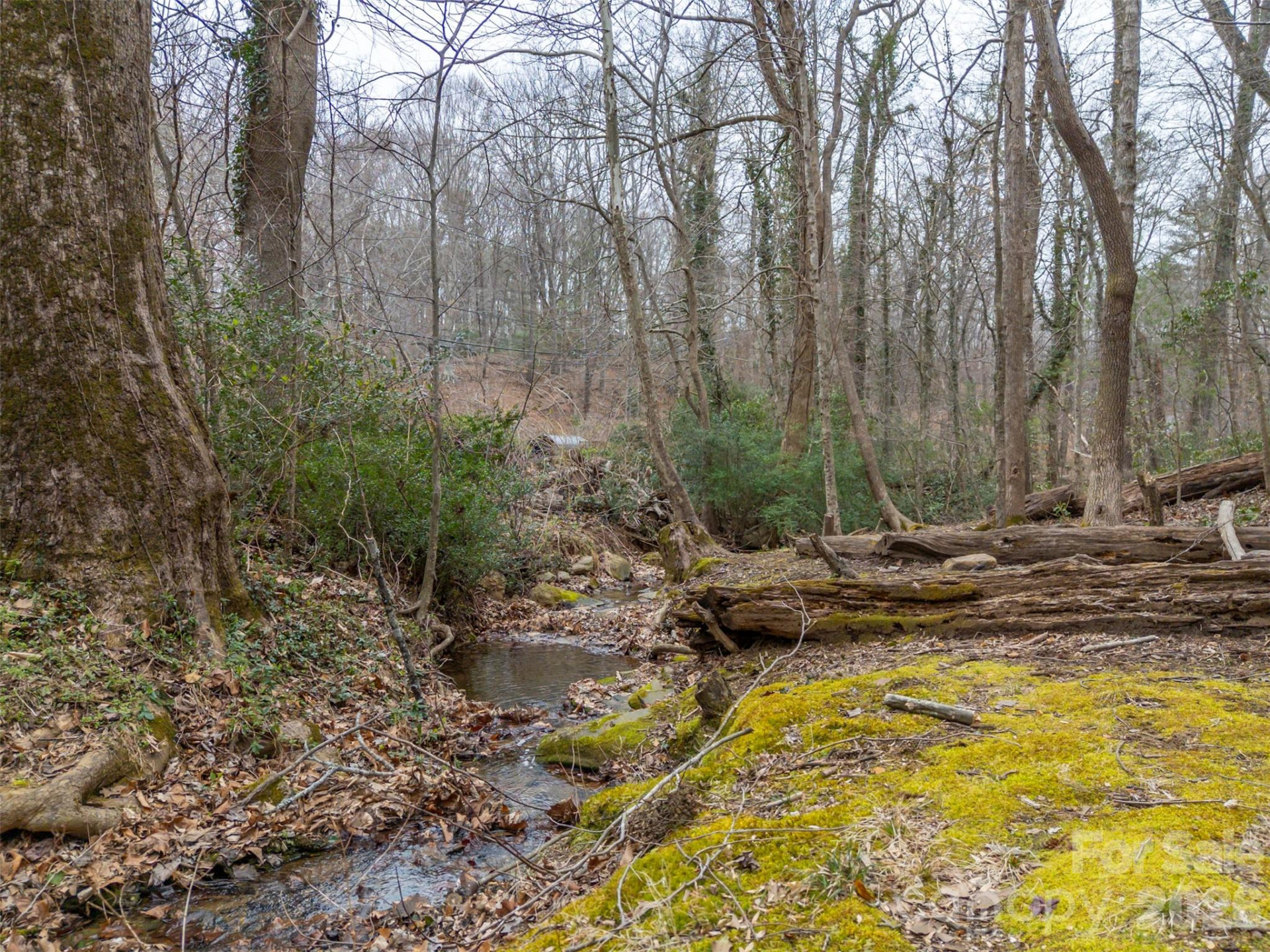 15 Meadowlark Drive - Photo 46