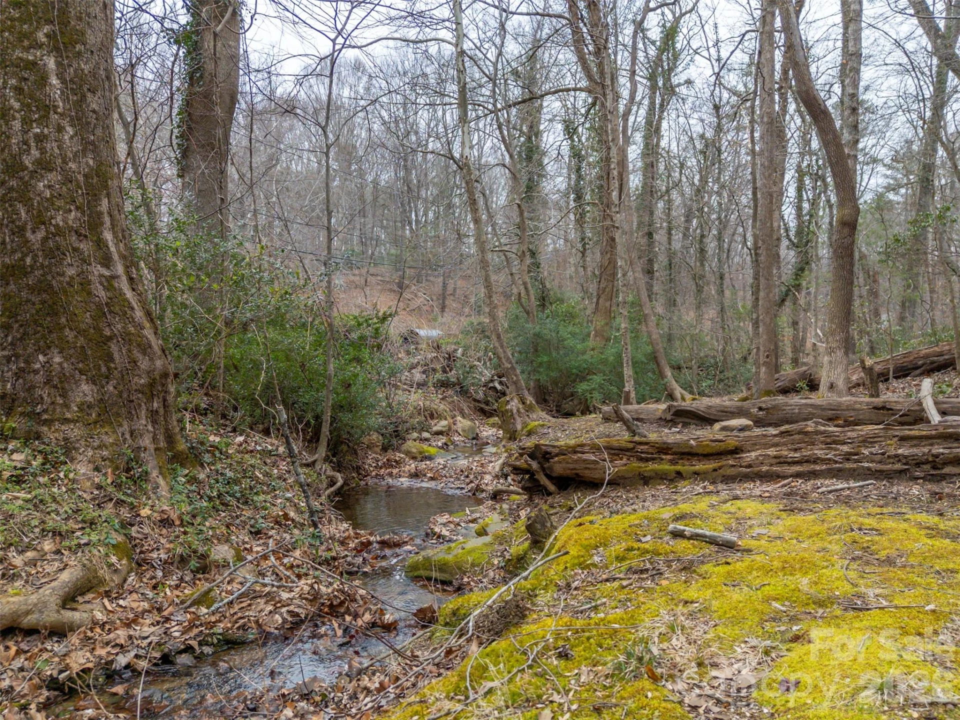 15 Meadowlark Drive - Photo 46