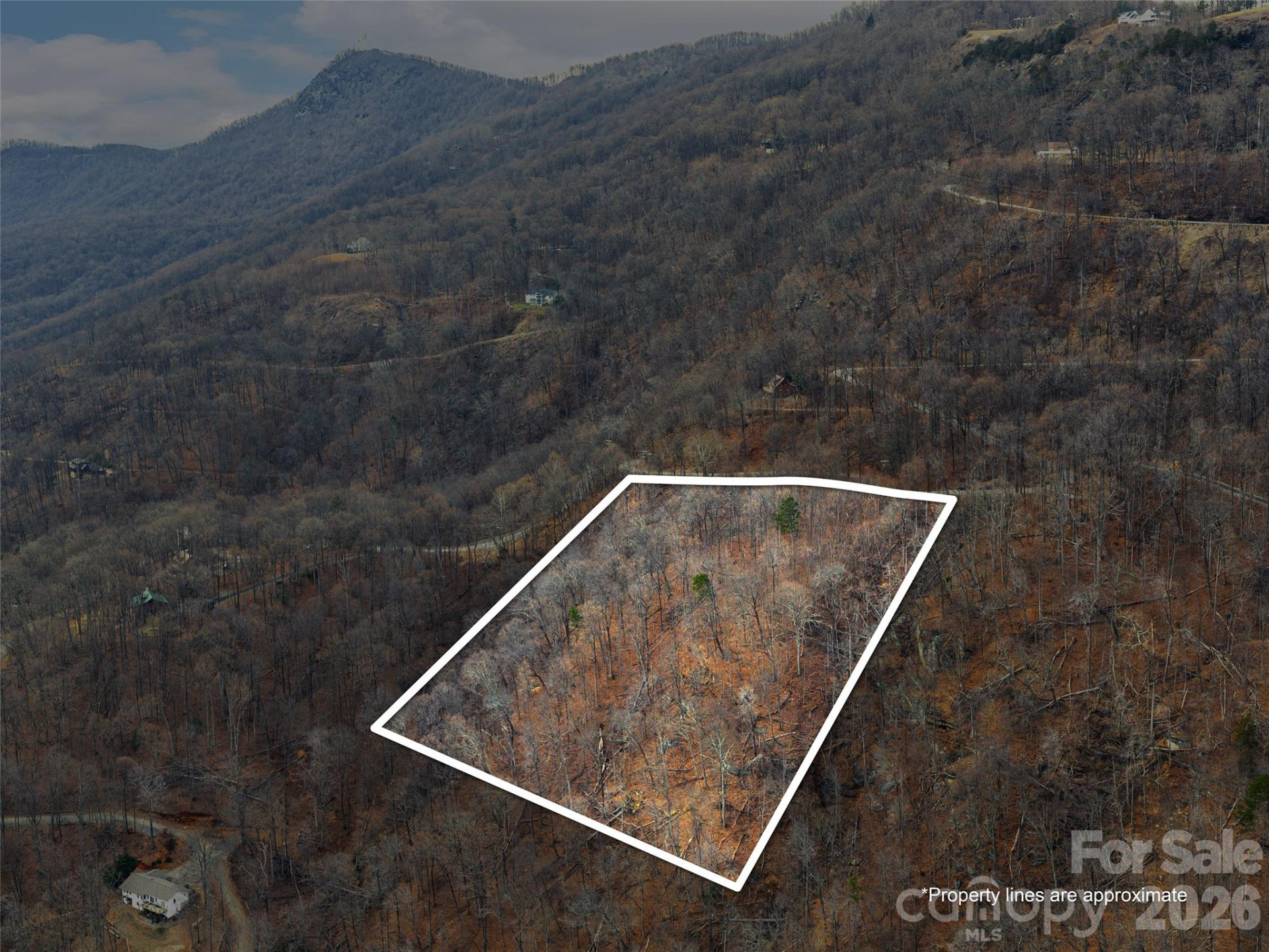 Lot 56 White Oak Mountain Road #56 - Photo 5