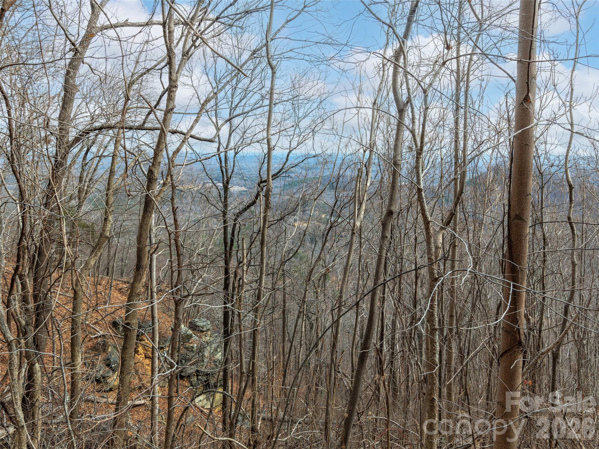 Lot 56 White Oak Mountain Road #56 - Photo 6