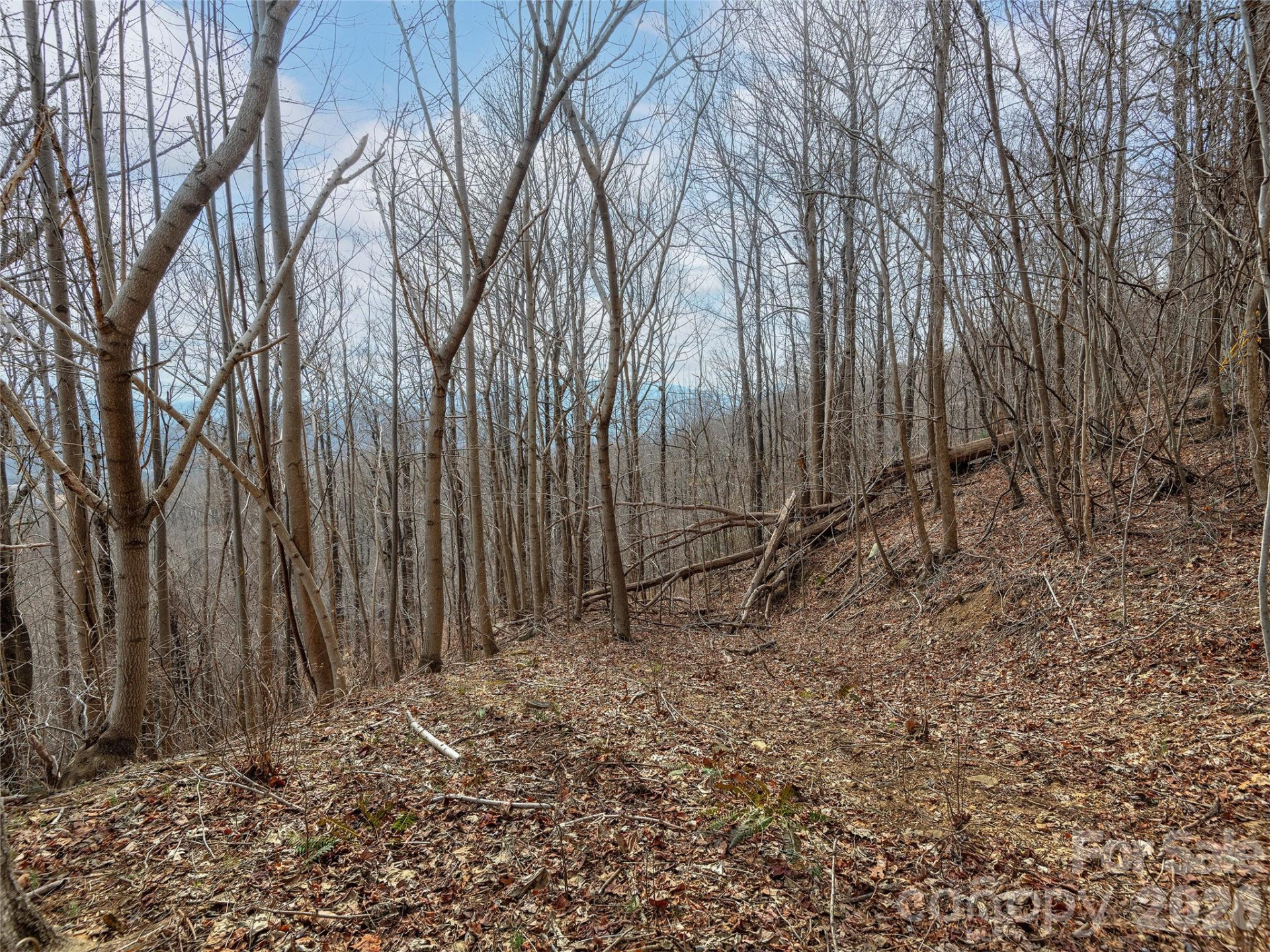 Lot 56 White Oak Mountain Road #56 - Photo 7