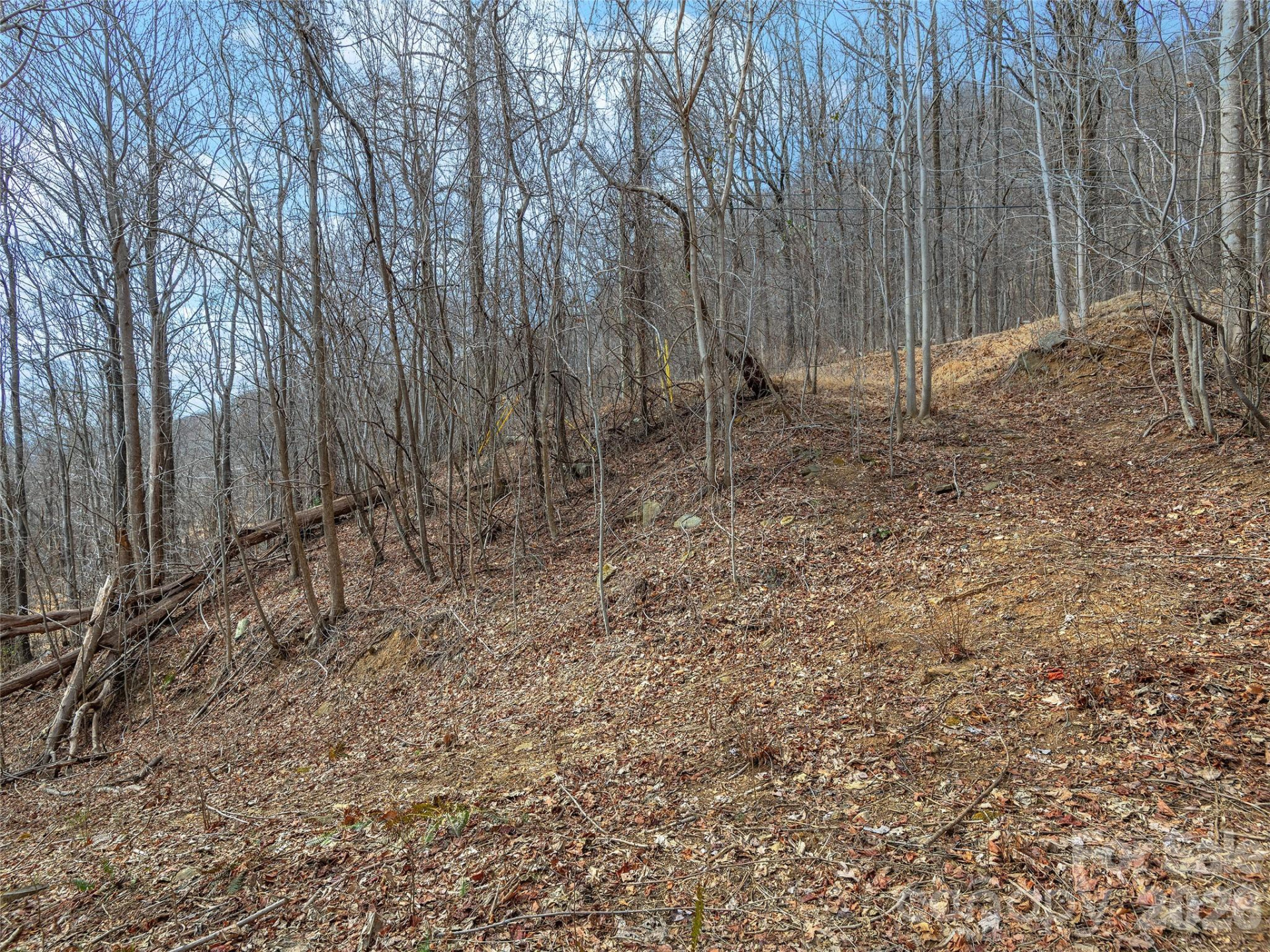 Lot 56 White Oak Mountain Road #56 - Photo 8