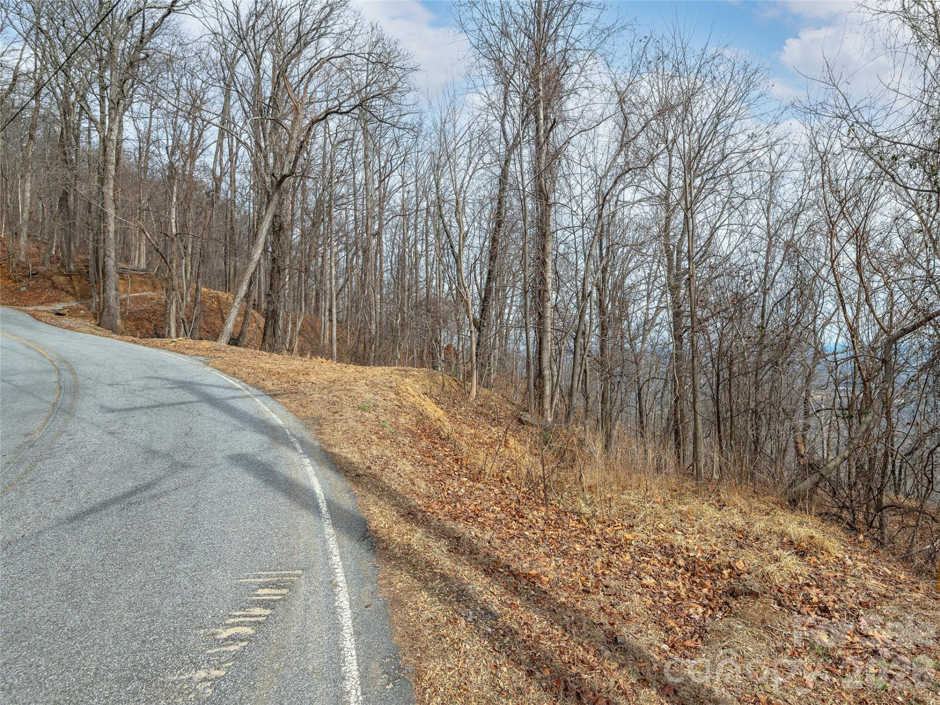 Lot 56 White Oak Mountain Road #56 - Photo 9