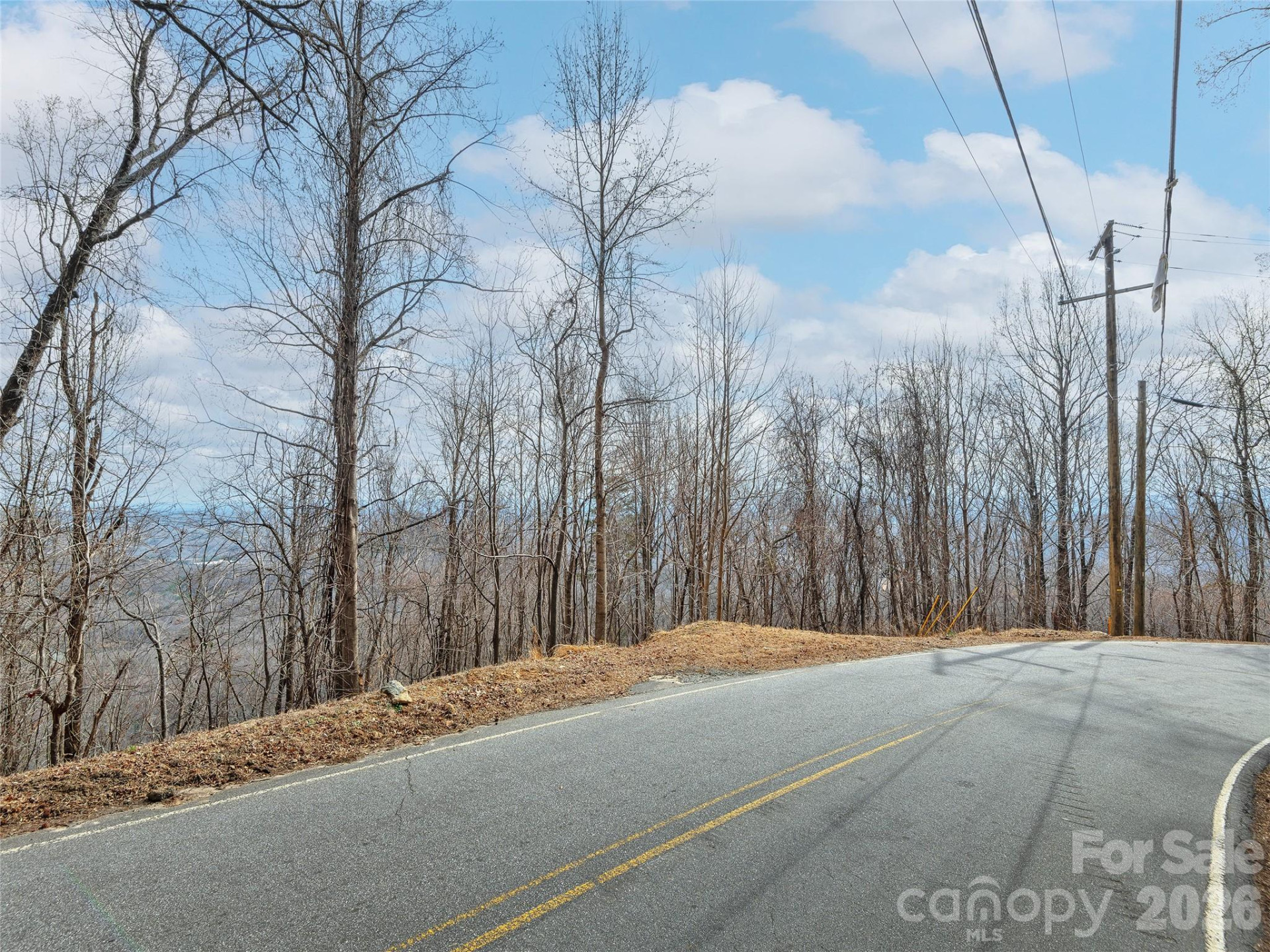 Lot 56 White Oak Mountain Road #56 - Photo 10