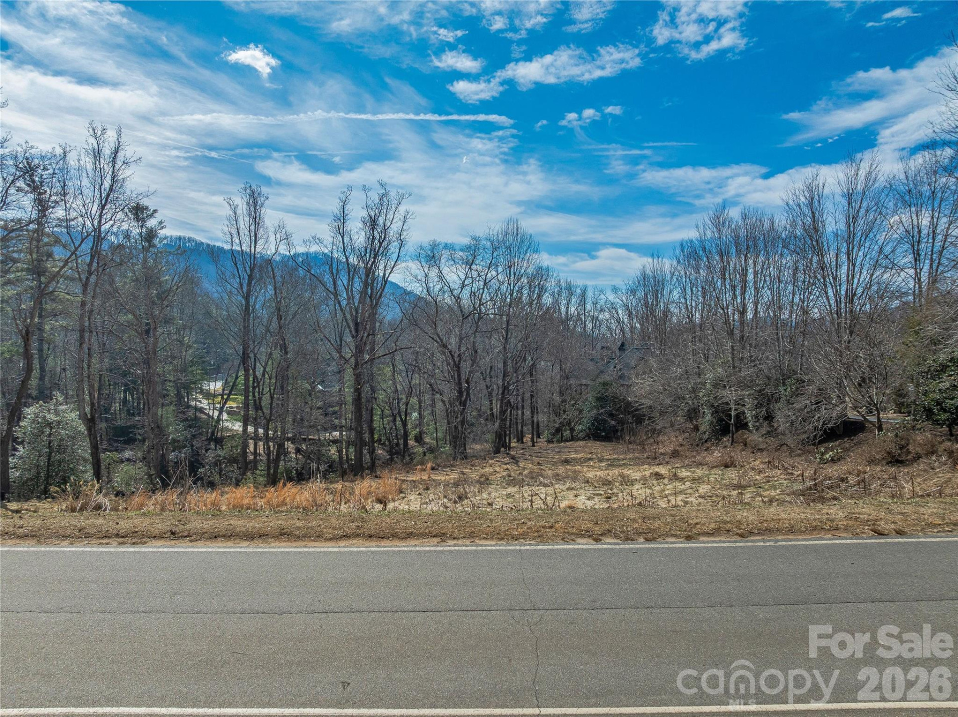 99999 Running Creek Trail - Photo 14