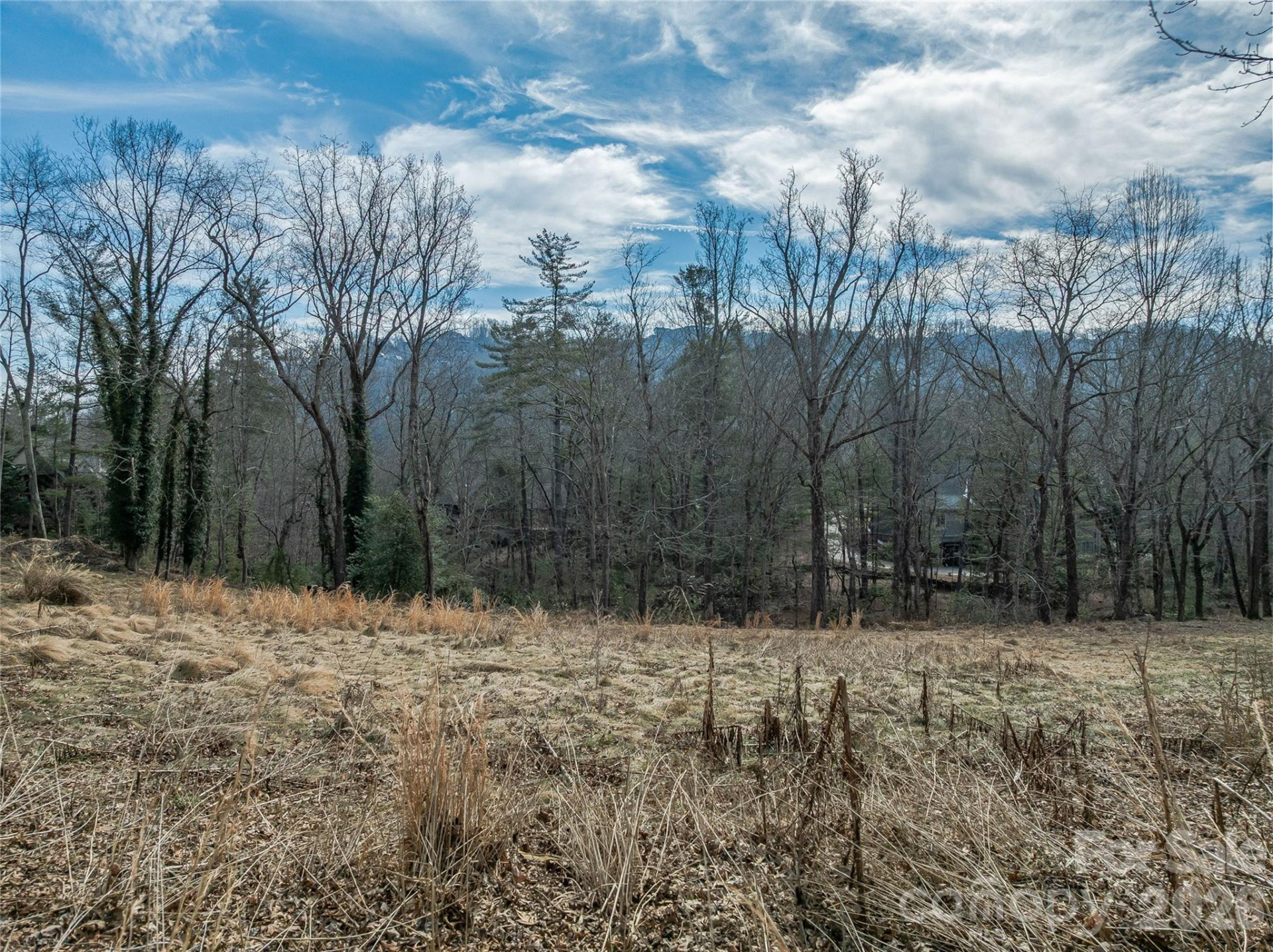 99999 Running Creek Trail - Photo 7