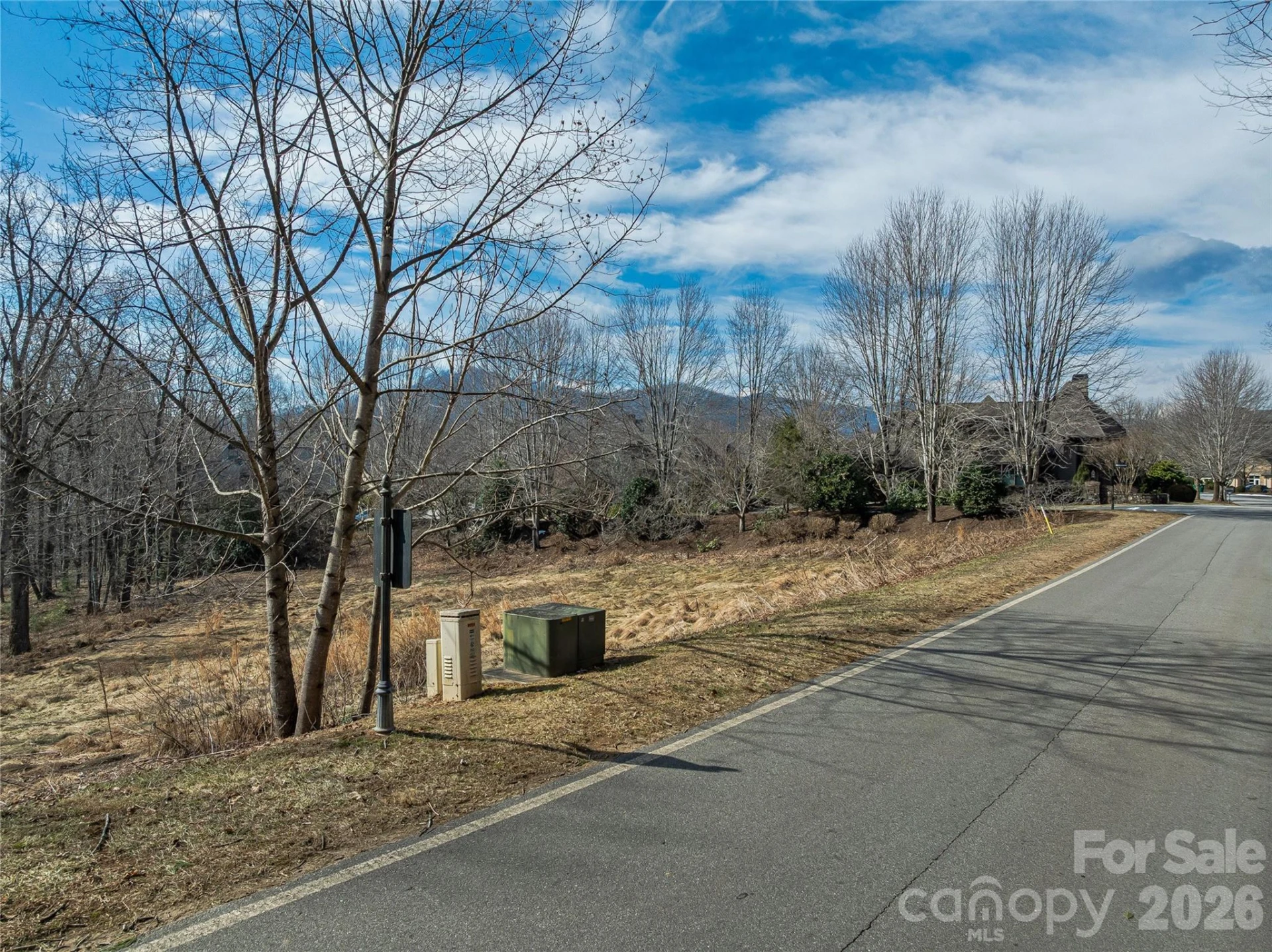 99999 Running Creek Trail - Photo 8