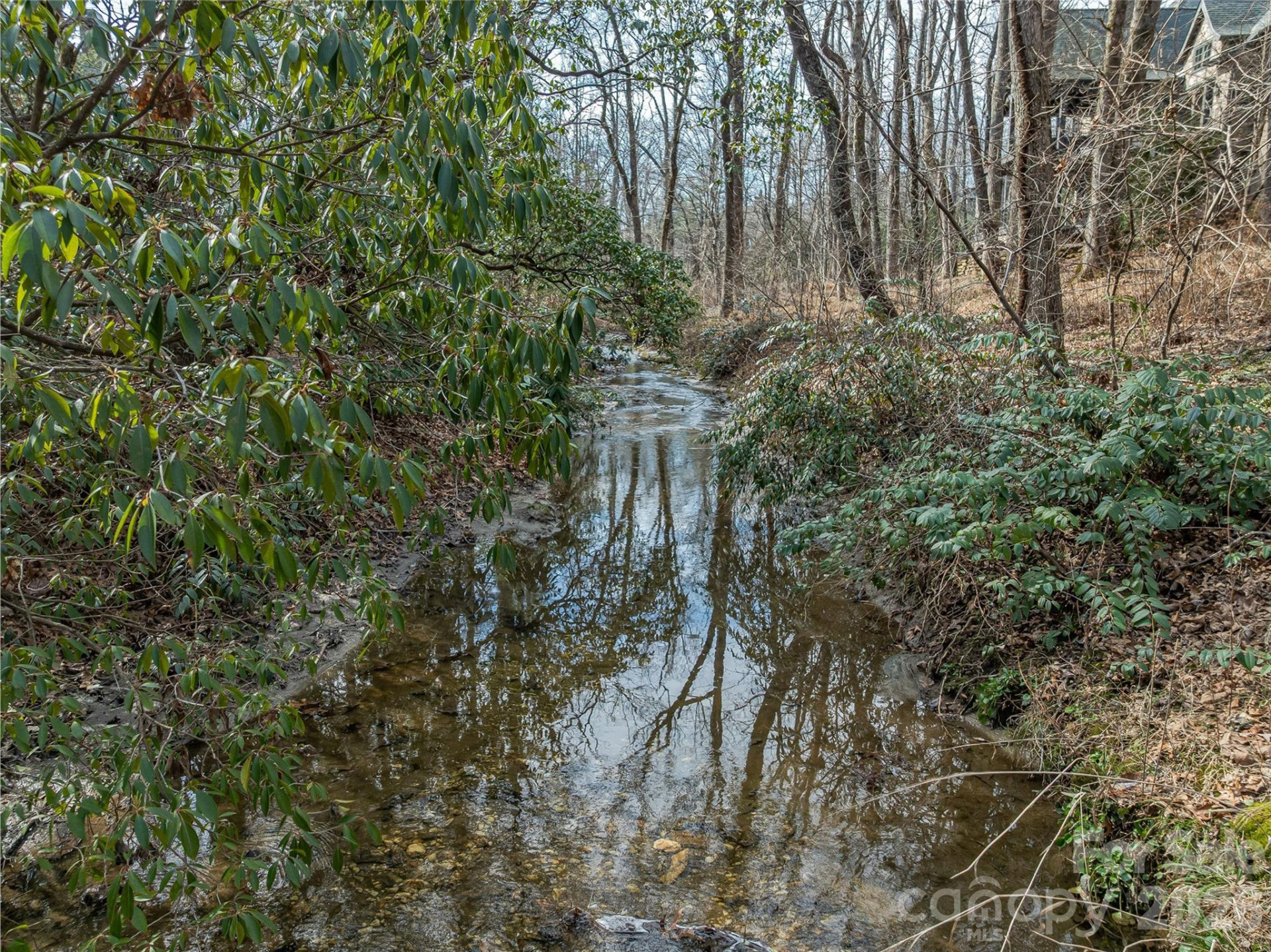99999 Running Creek Trail - Photo 10