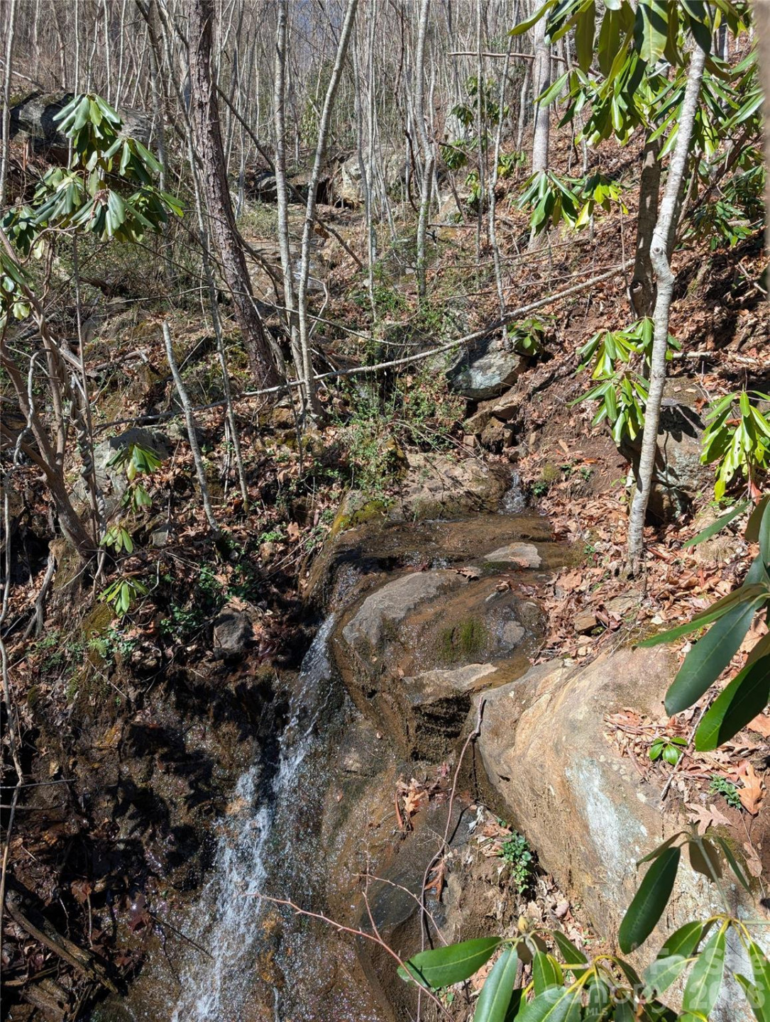 00 Bear Wallow Trail - Photo 2