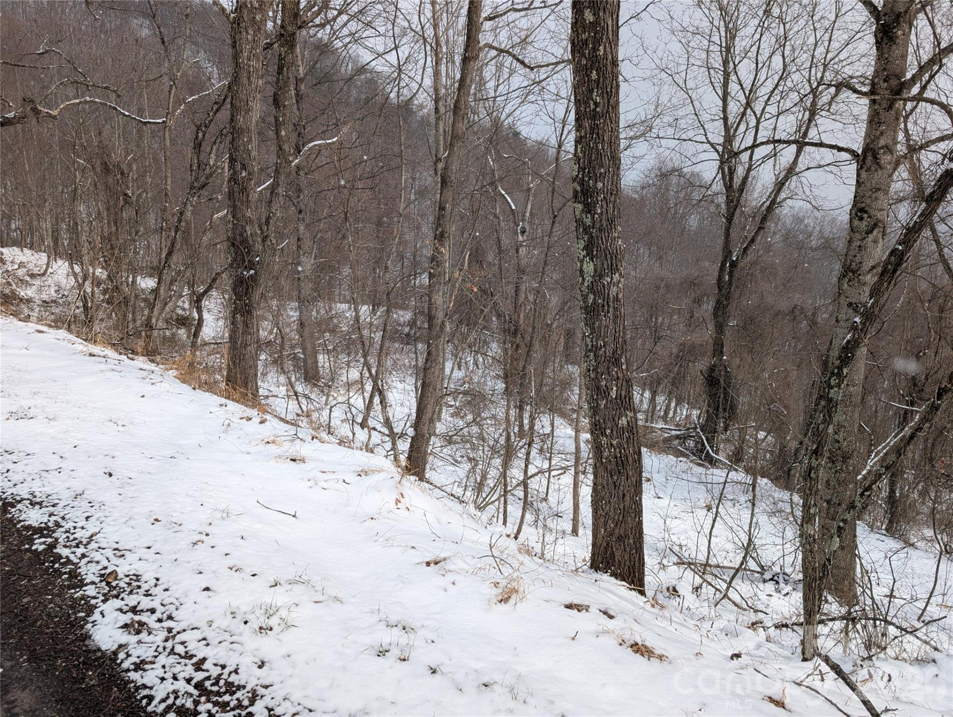 00 Bear Wallow Trail - Photo 11