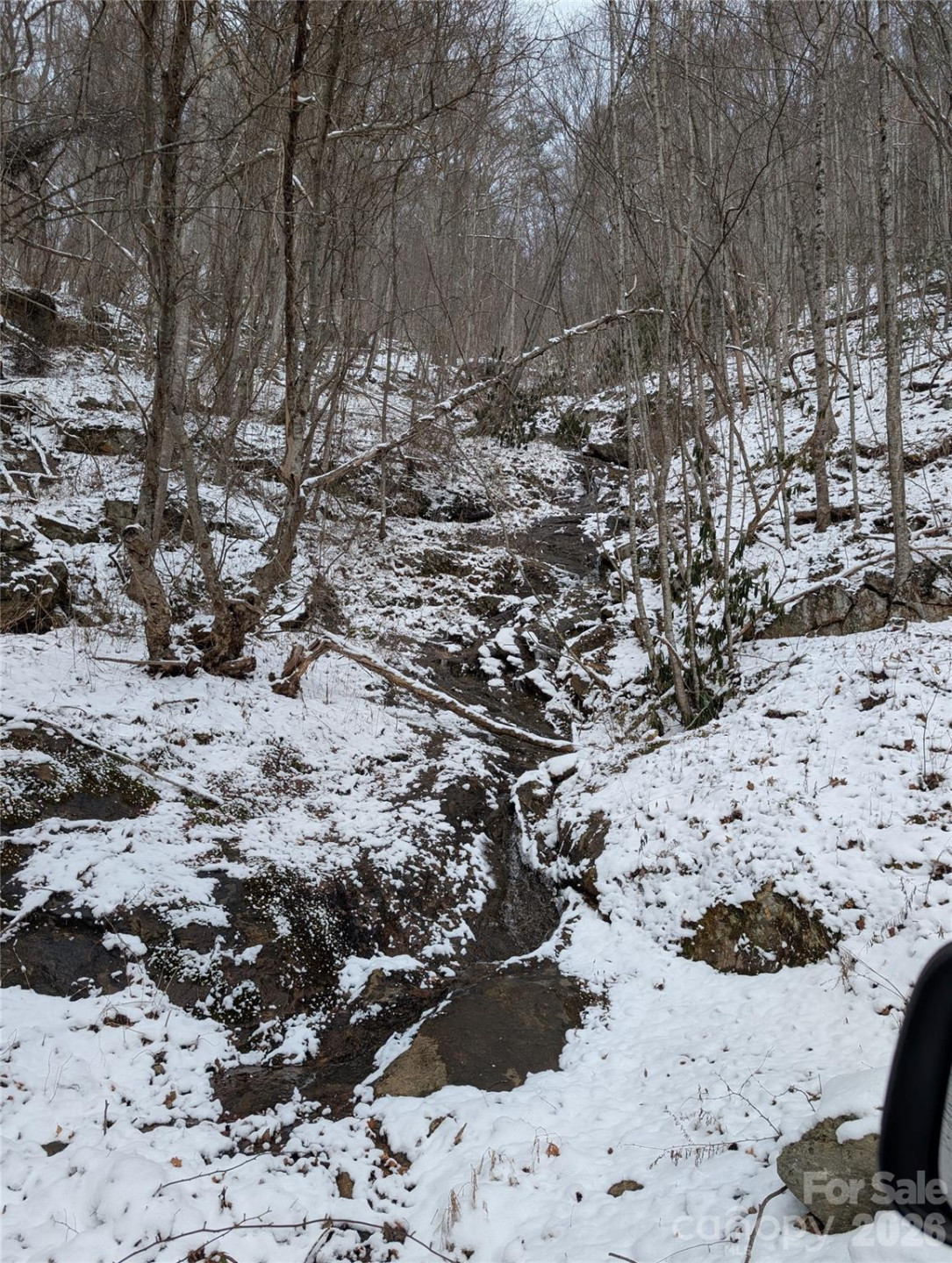 00 Bear Wallow Trail - Photo 12