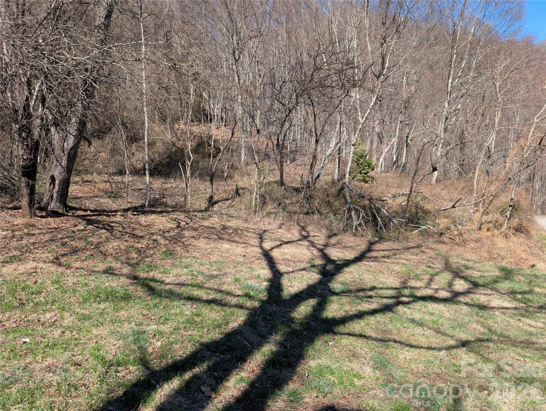 00 Bear Wallow Trail - Photo 13