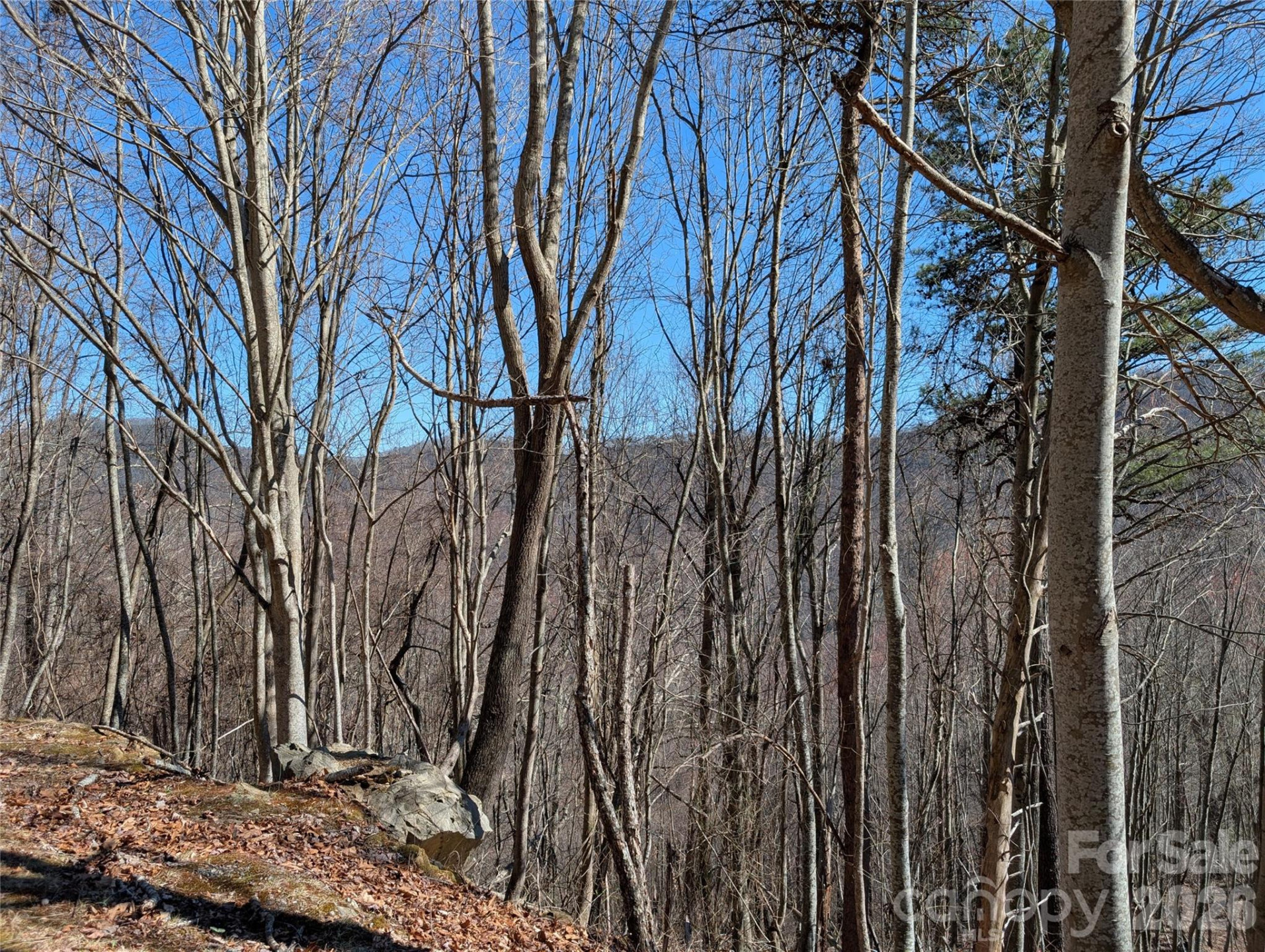 00 Bear Wallow Trail - Photo 14