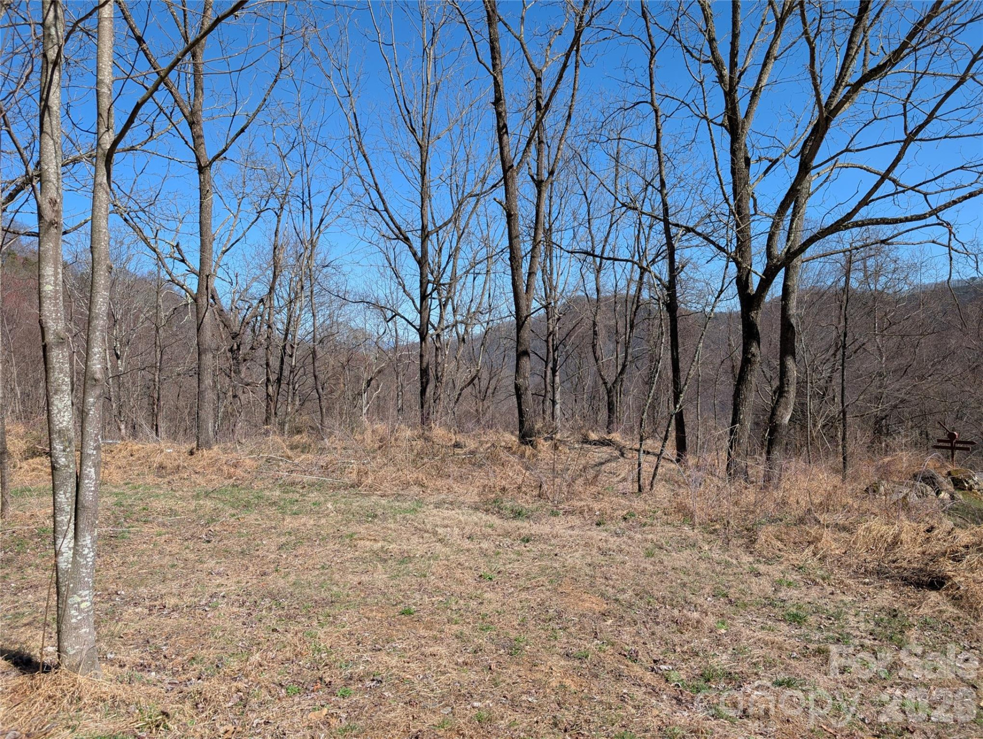 00 Bear Wallow Trail - Photo 15