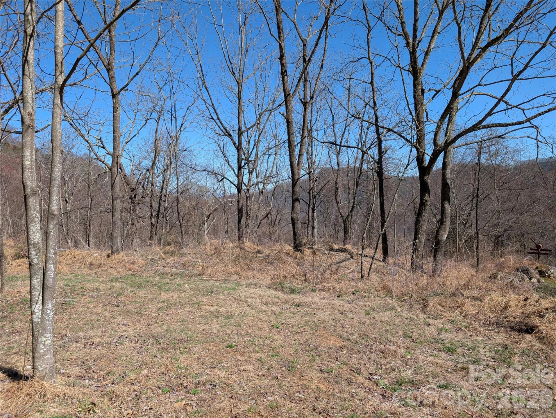 00 Bear Wallow Trail - Photo 15