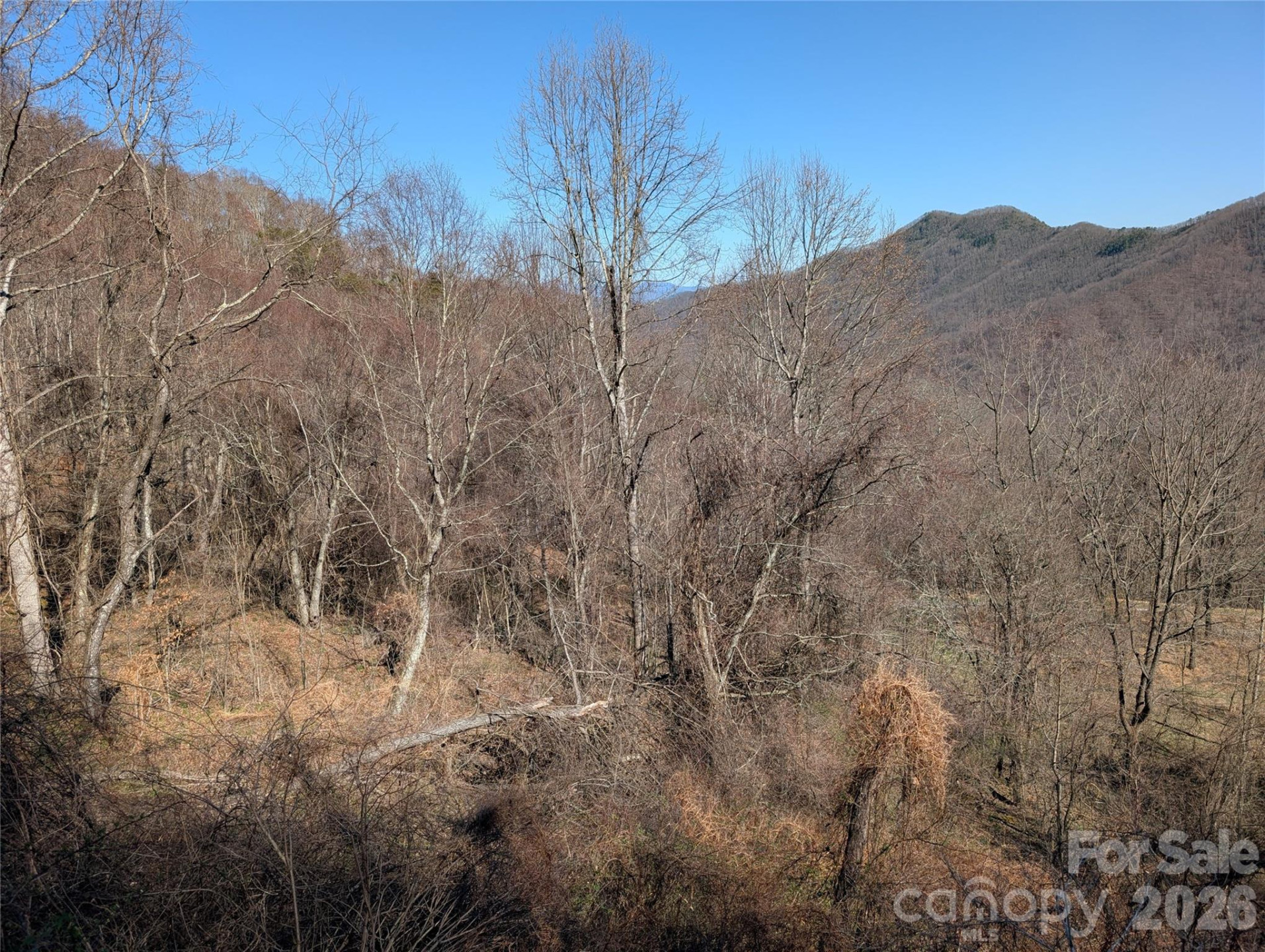 00 Bear Wallow Trail - Photo 16