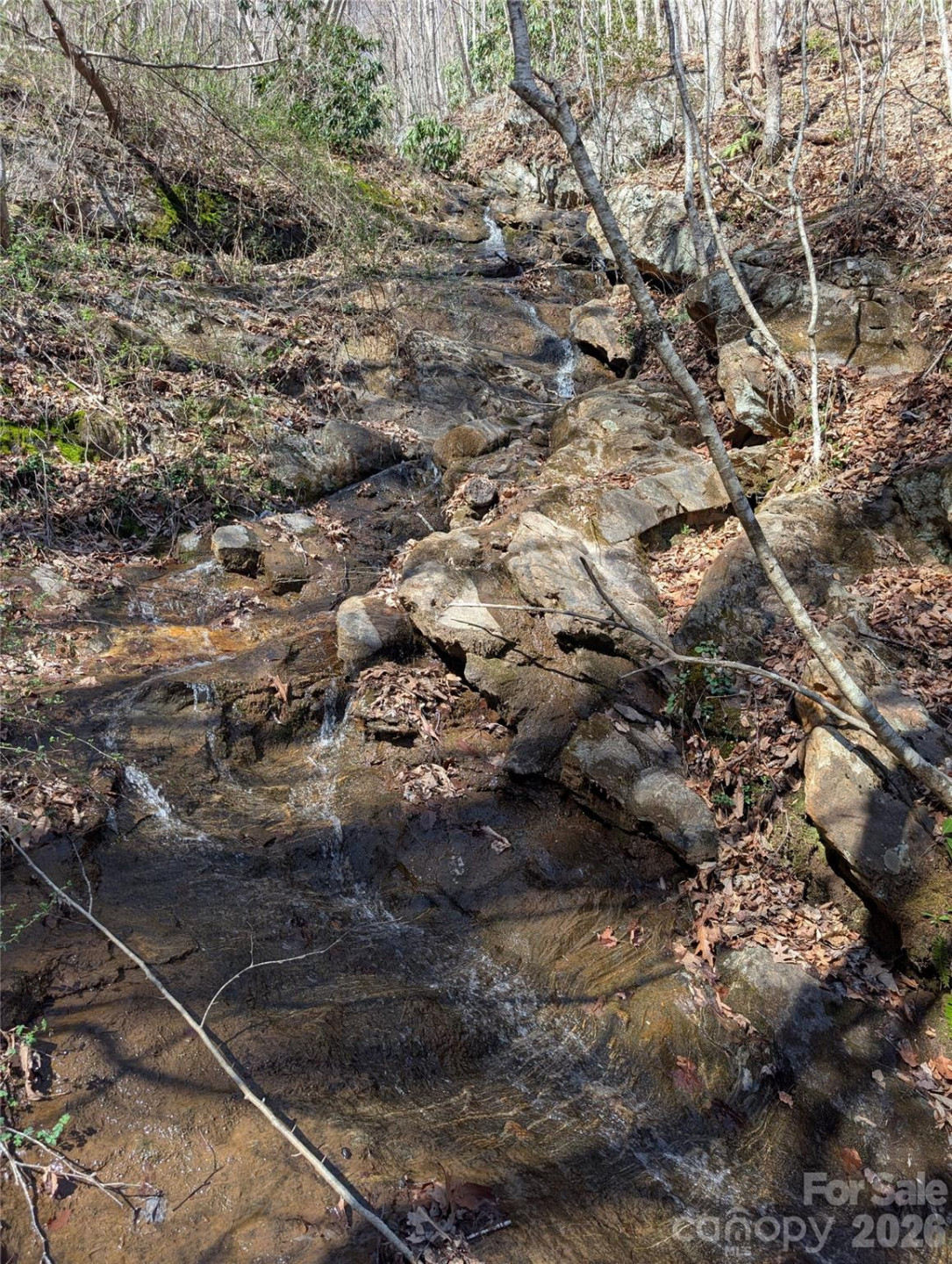 00 Bear Wallow Trail - Photo 17