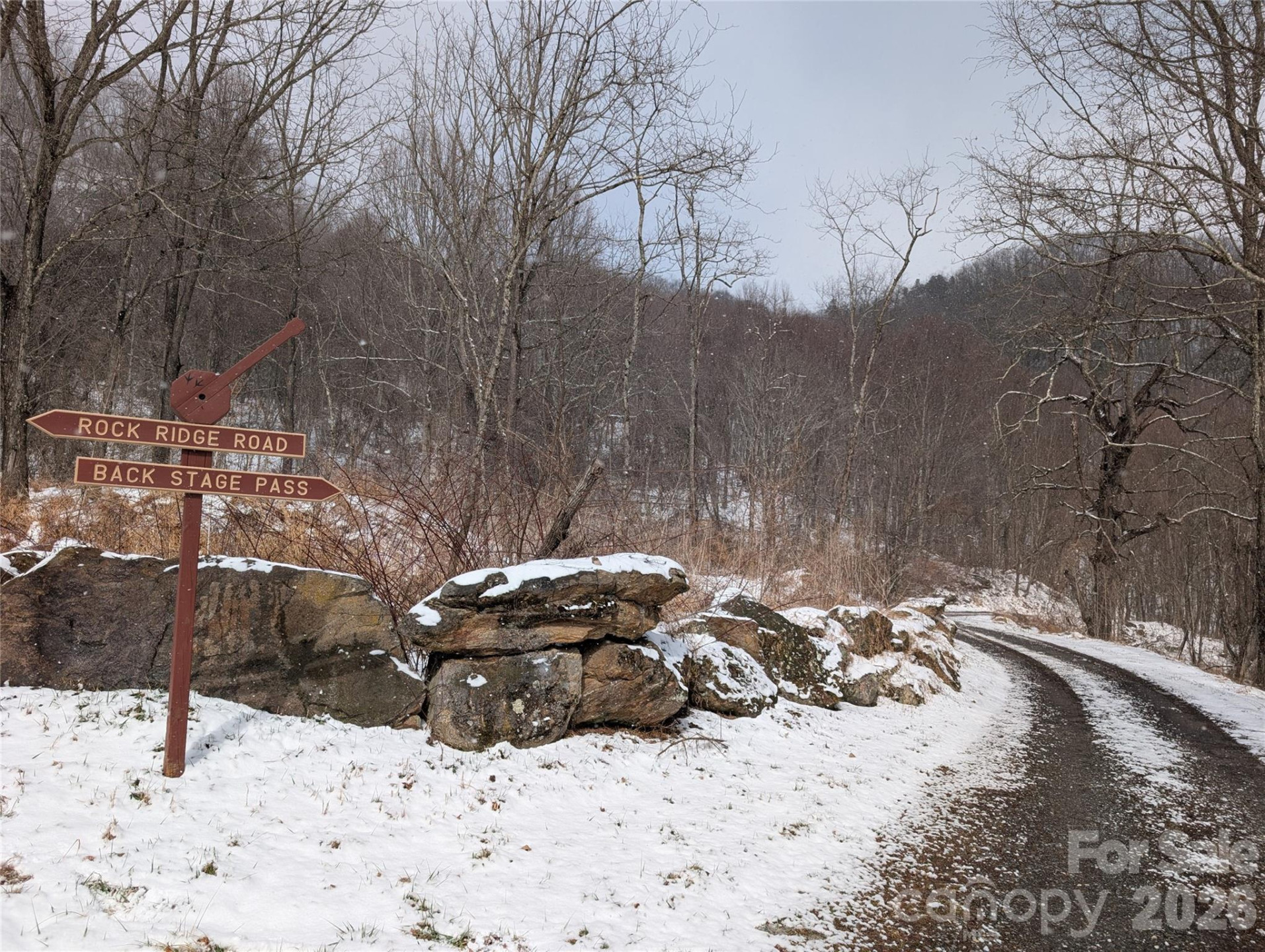 00 Bear Wallow Trail - Photo 3