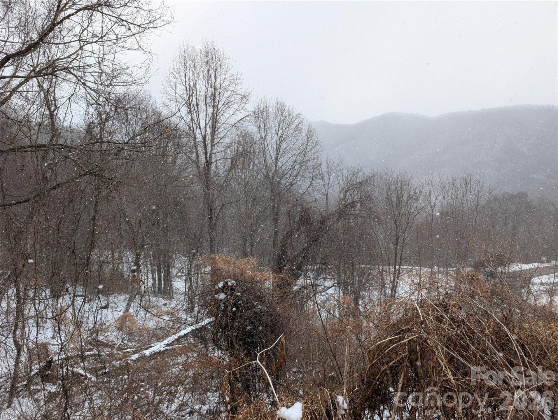 00 Bear Wallow Trail - Photo 6