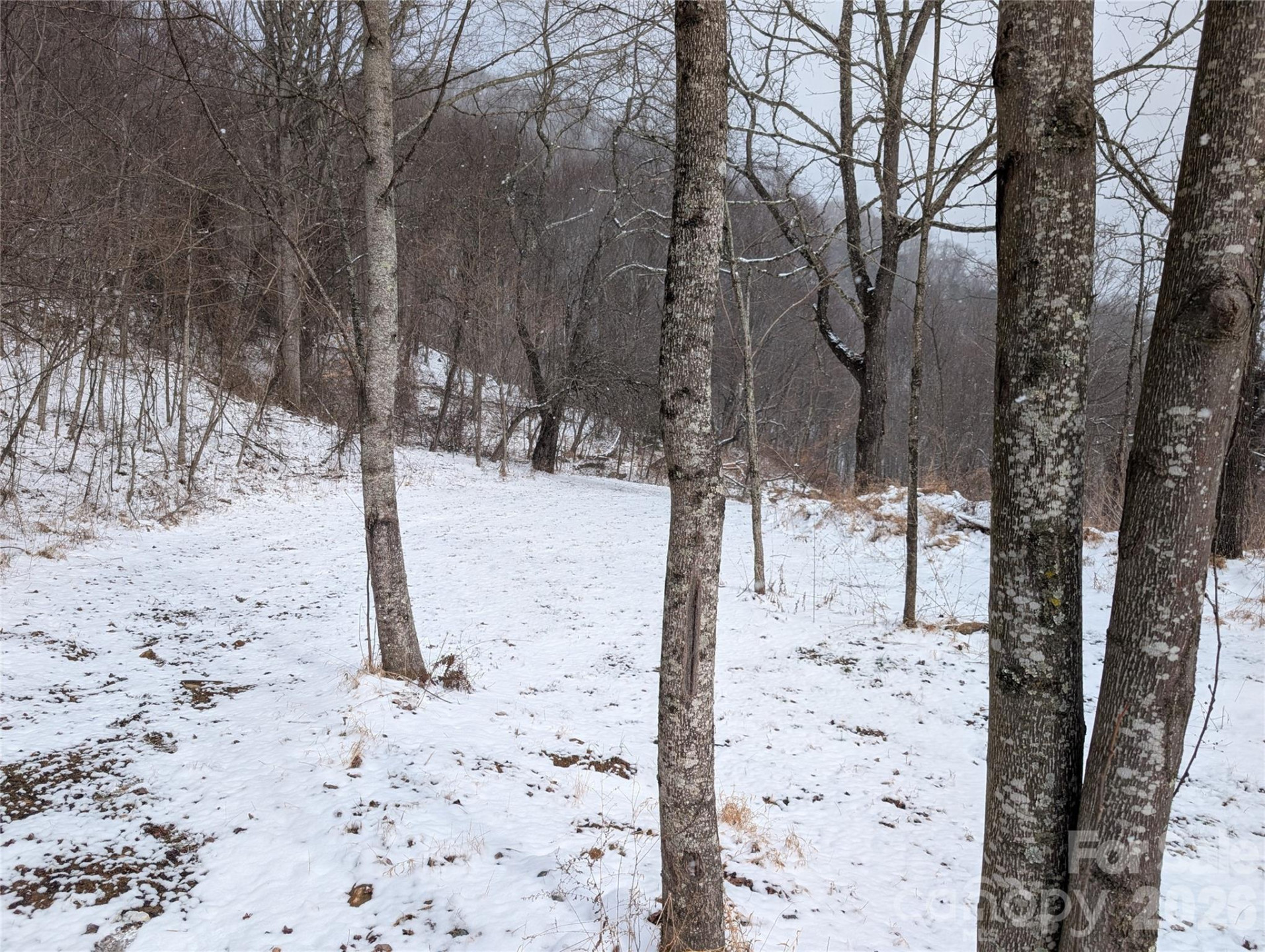 00 Bear Wallow Trail - Photo 7