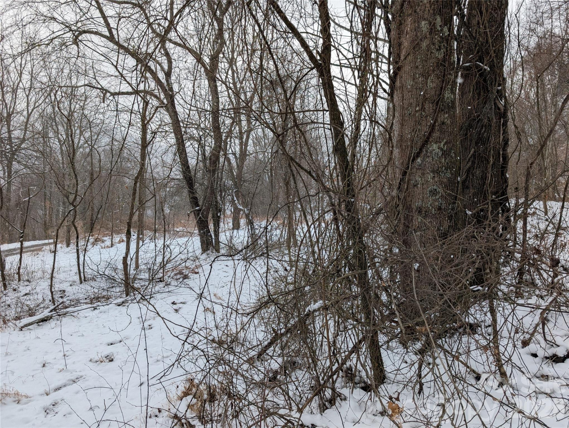 00 Bear Wallow Trail - Photo 8