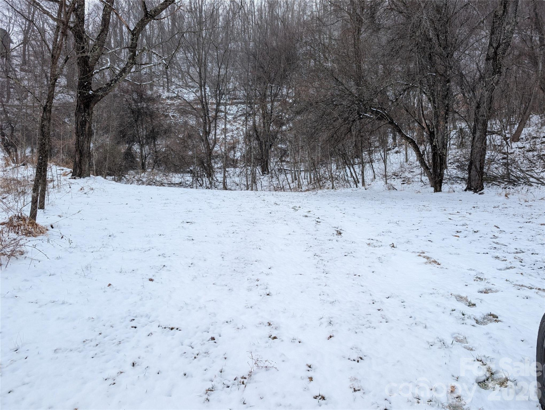 00 Bear Wallow Trail - Photo 9