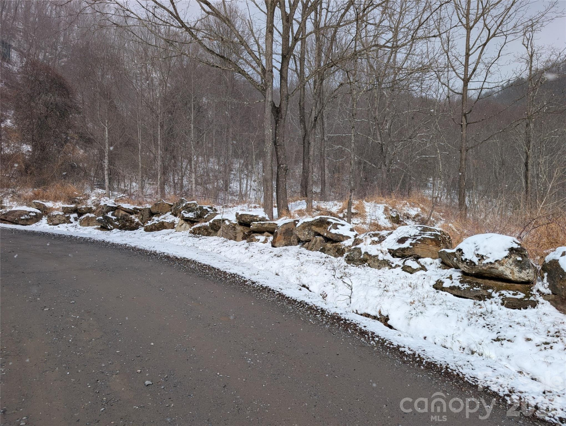 00 Bear Wallow Trail - Photo 10