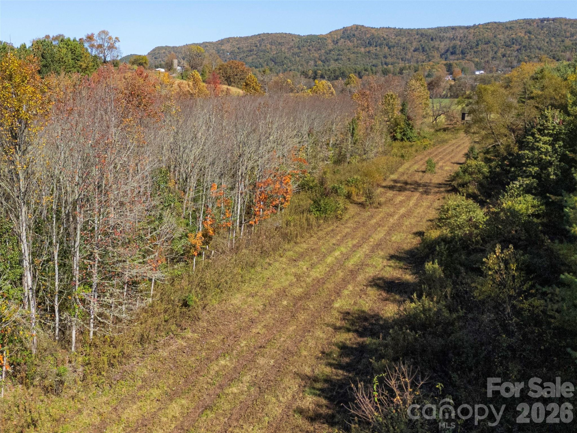 TBD Hart Road - Photo 11