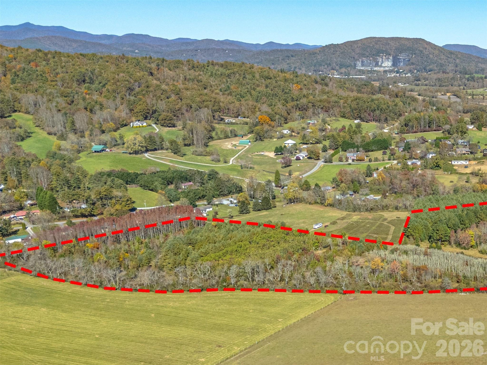 TBD Hart Road - Photo 12