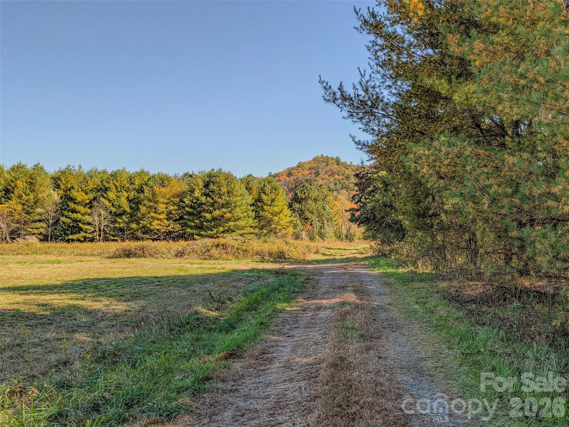 TBD Hart Road - Photo 14