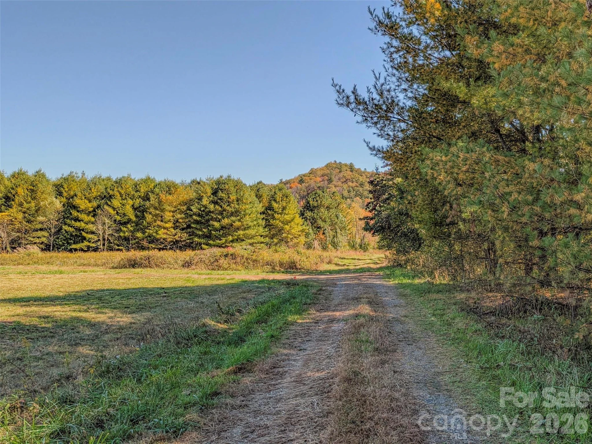 TBD Hart Road - Photo 14
