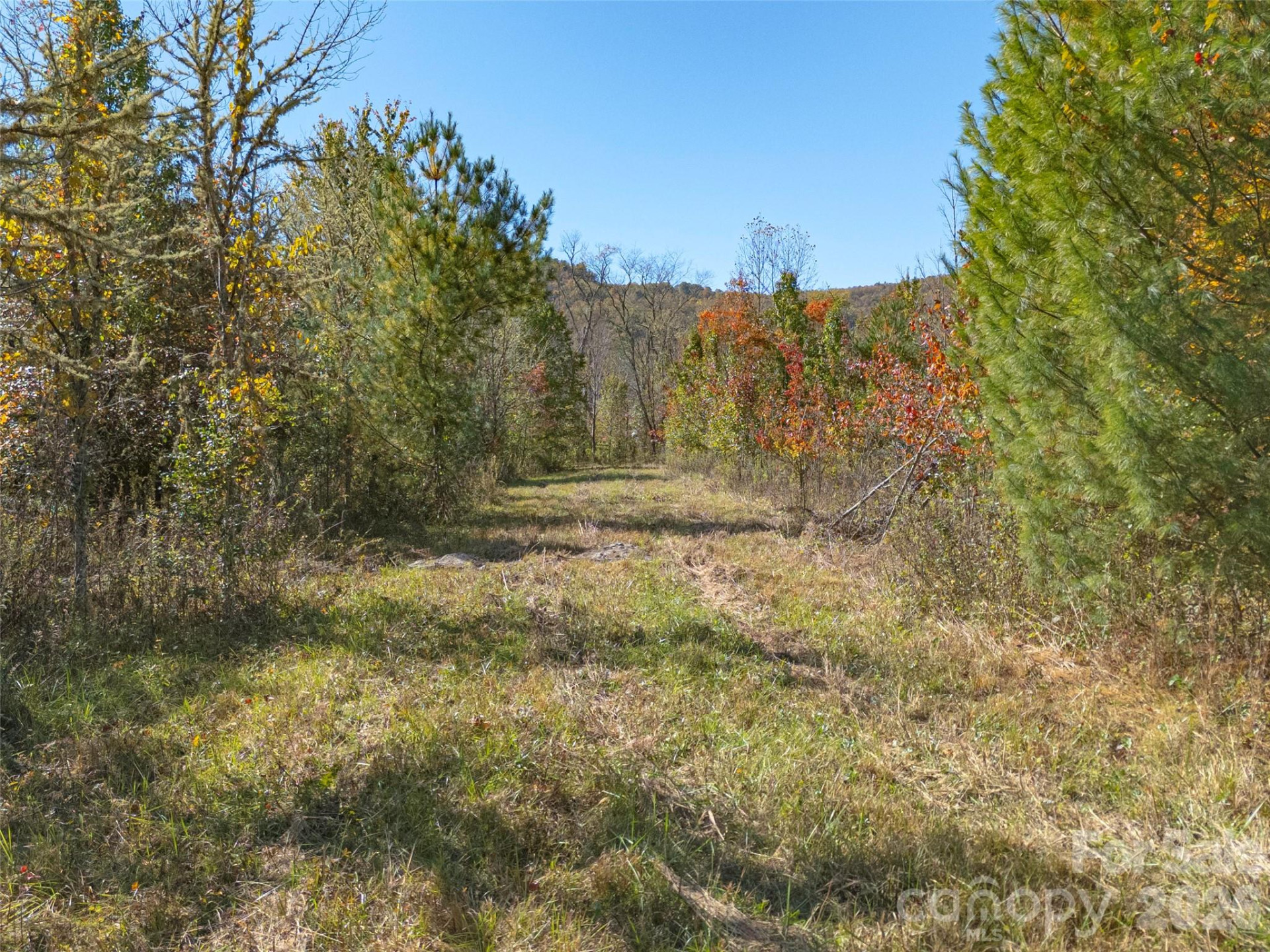 TBD Hart Road - Photo 15