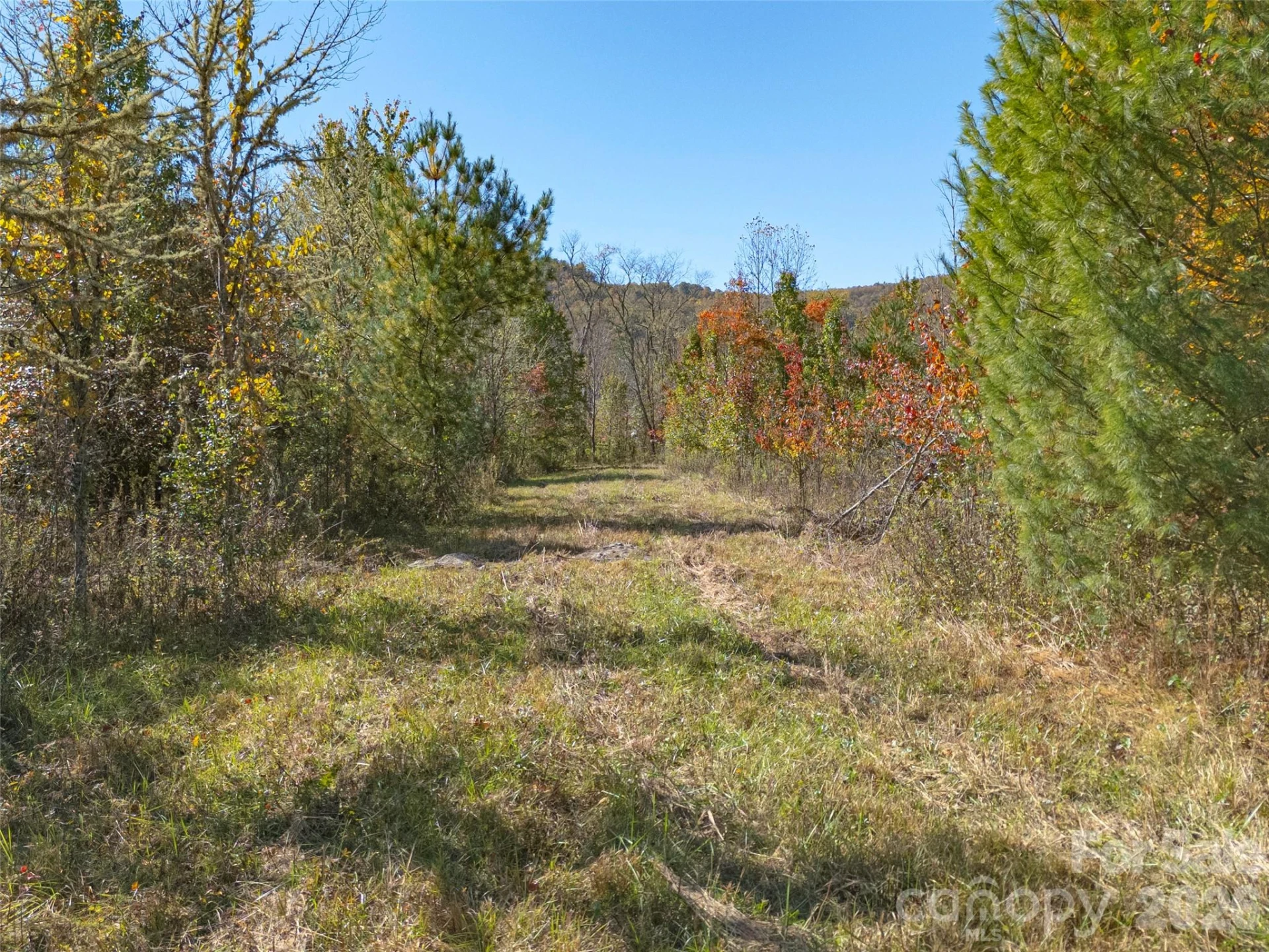 TBD Hart Road - Photo 15